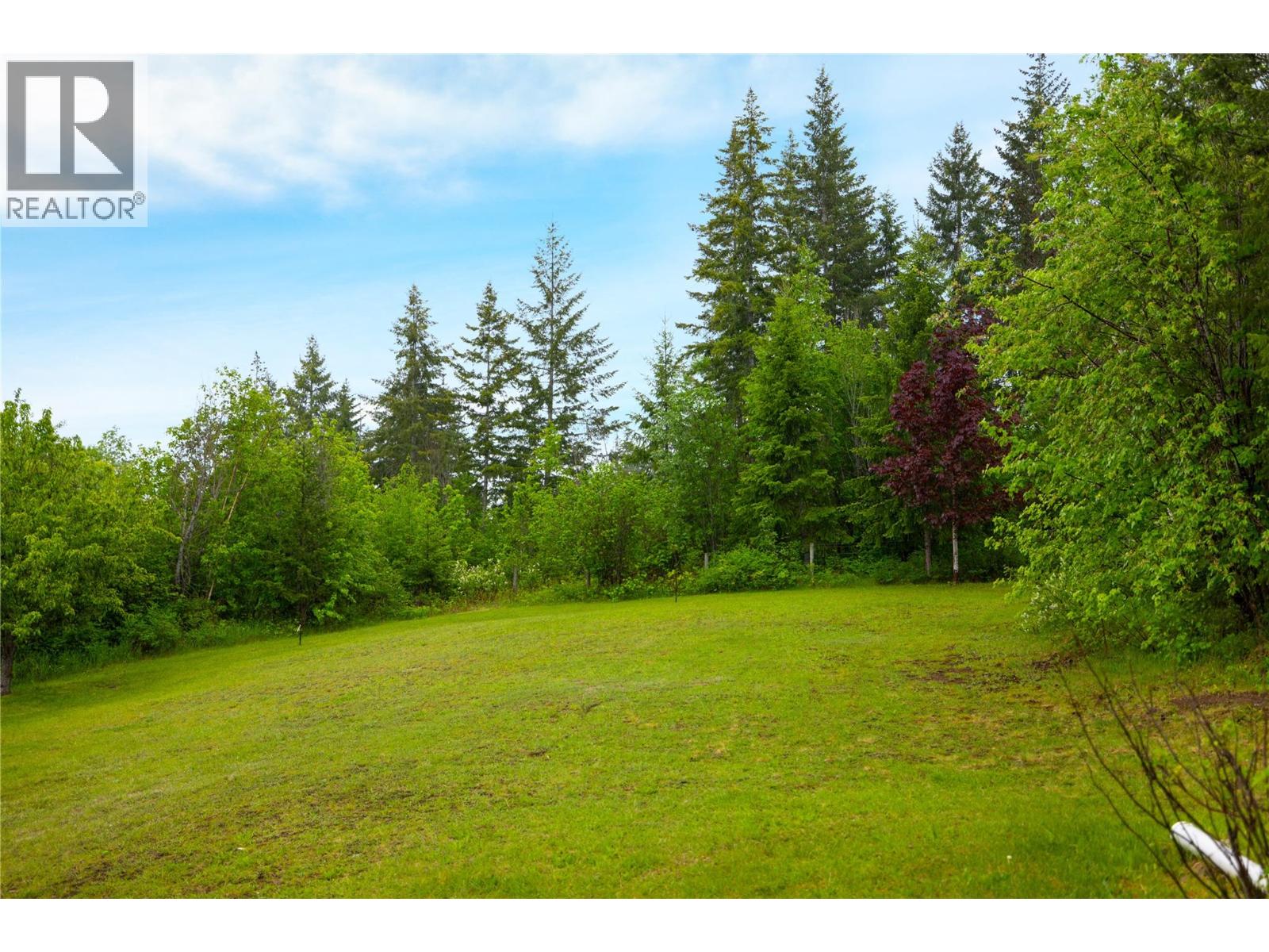 65 Grove Road, Enderby, British Columbia  V0E 1V3 - Photo 47 - 10387690