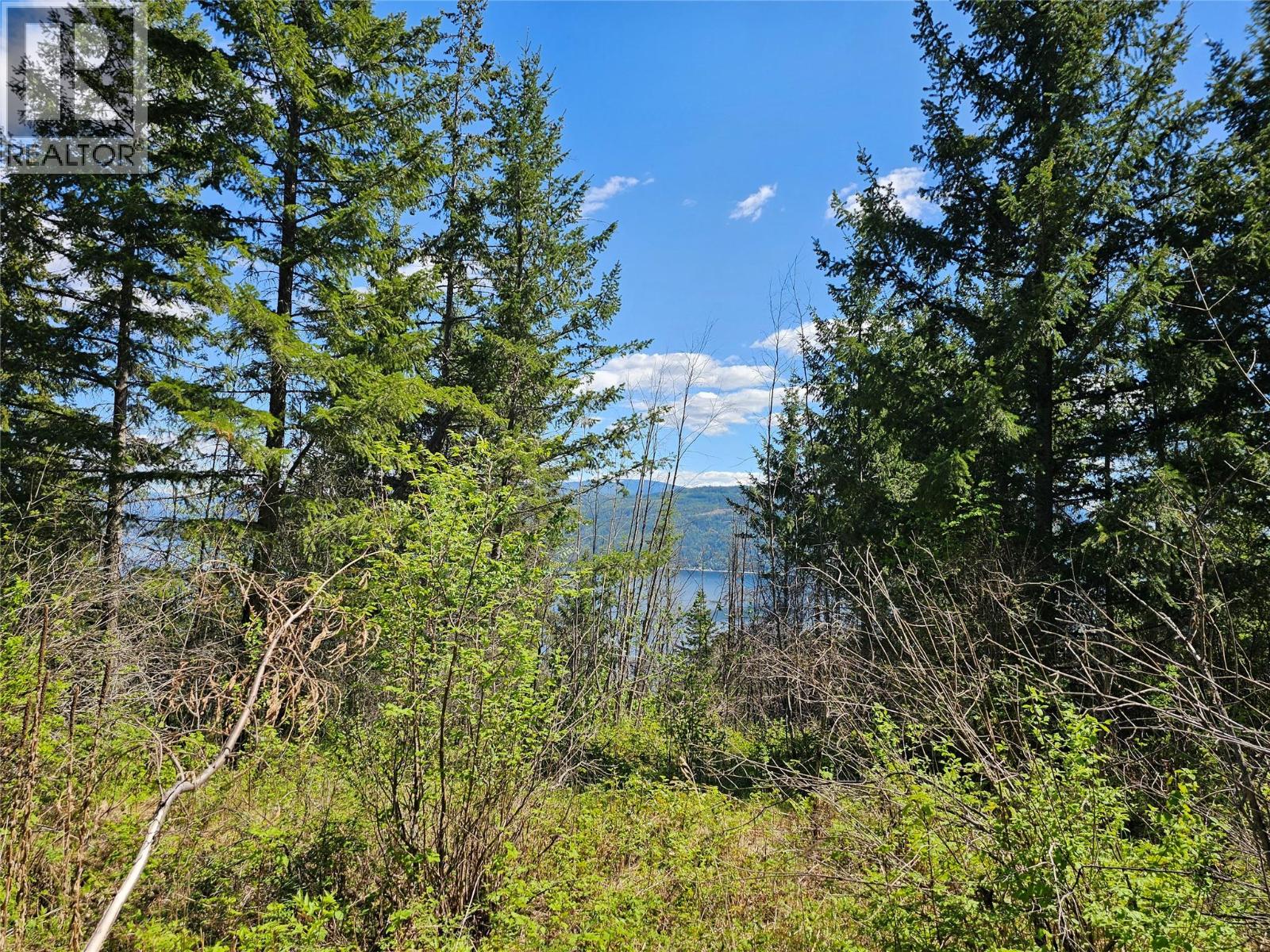 4402 Leopold Road, Scotch Creek, British Columbia  V0E 1M5 - Photo 10 - 10387585