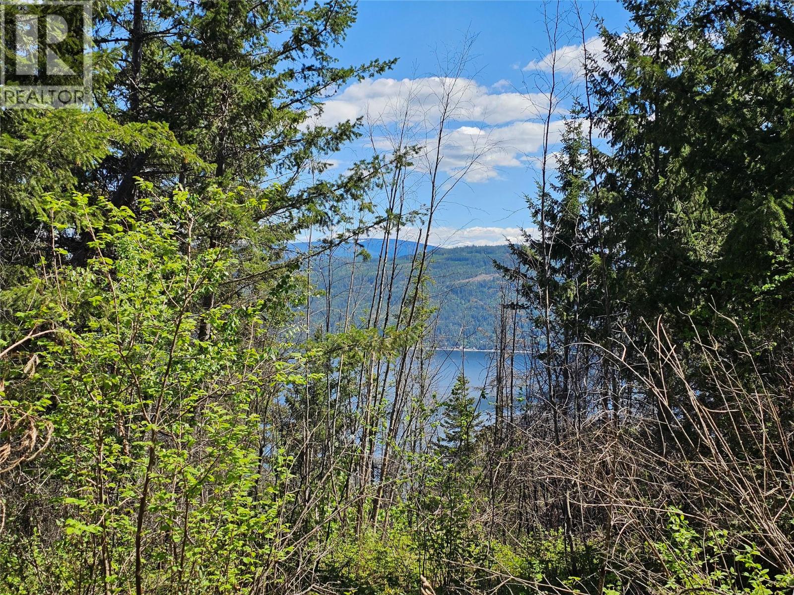 4402 Leopold Road, Scotch Creek, British Columbia  V0E 1M5 - Photo 11 - 10387585