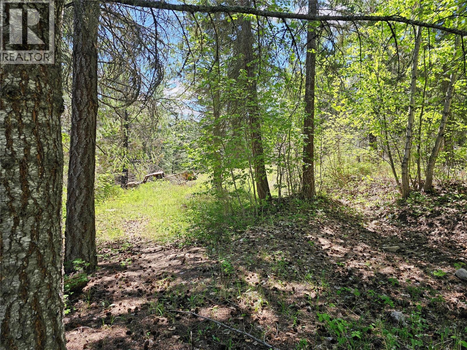 4402 Leopold Road, Scotch Creek, British Columbia  V0E 1M5 - Photo 15 - 10387585
