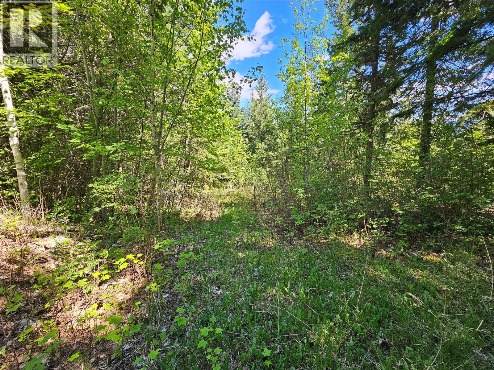 4402 Leopold Road, Scotch Creek, British Columbia  V0E 1M5 - Photo 17 - 10387585