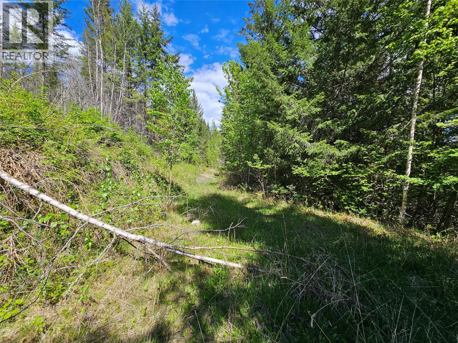 4402 Leopold Road, Scotch Creek, British Columbia  V0E 1M5 - Photo 18 - 10387585