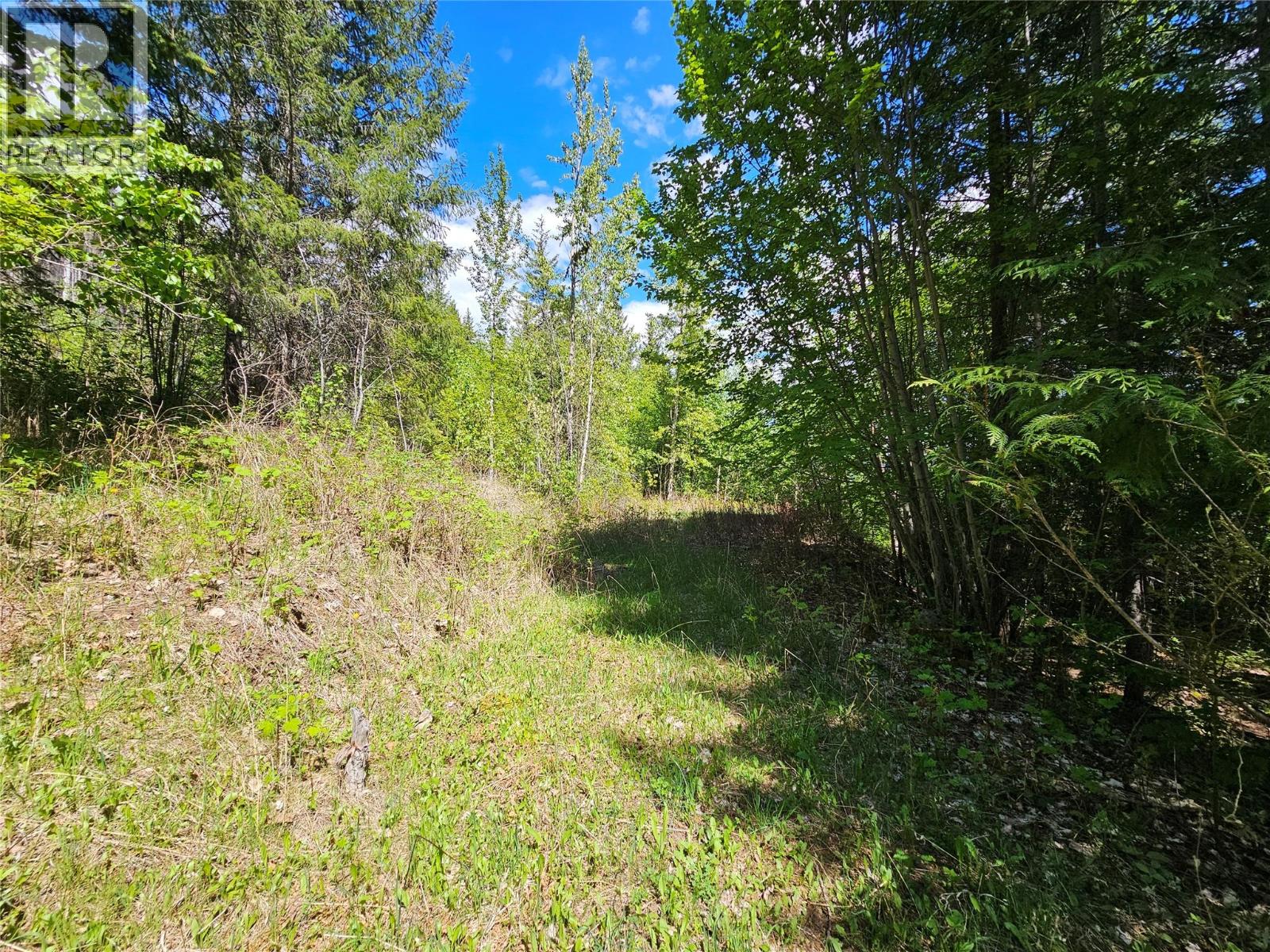 4402 Leopold Road, Scotch Creek, British Columbia  V0E 1M5 - Photo 19 - 10387585