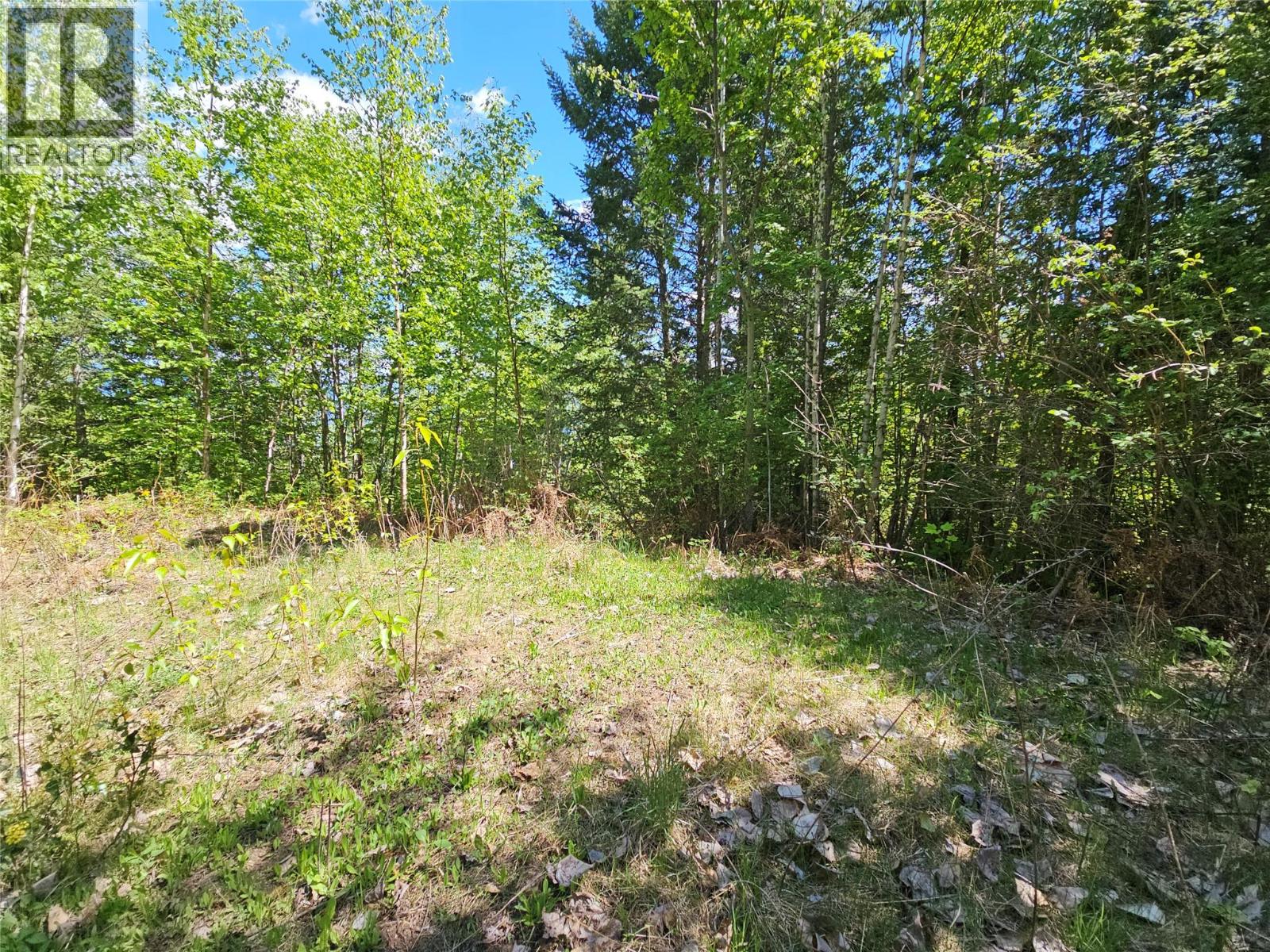 4402 Leopold Road, Scotch Creek, British Columbia  V0E 1M5 - Photo 21 - 10387585