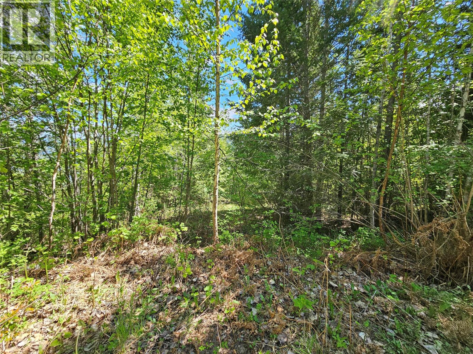 4402 Leopold Road, Scotch Creek, British Columbia  V0E 1M5 - Photo 22 - 10387585