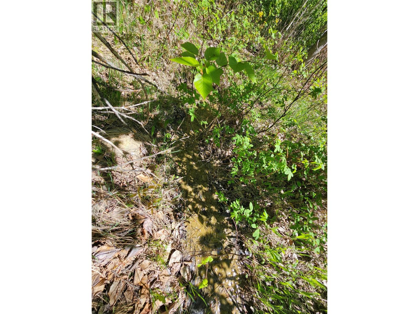 4402 Leopold Road, Scotch Creek, British Columbia  V0E 1M5 - Photo 27 - 10387585