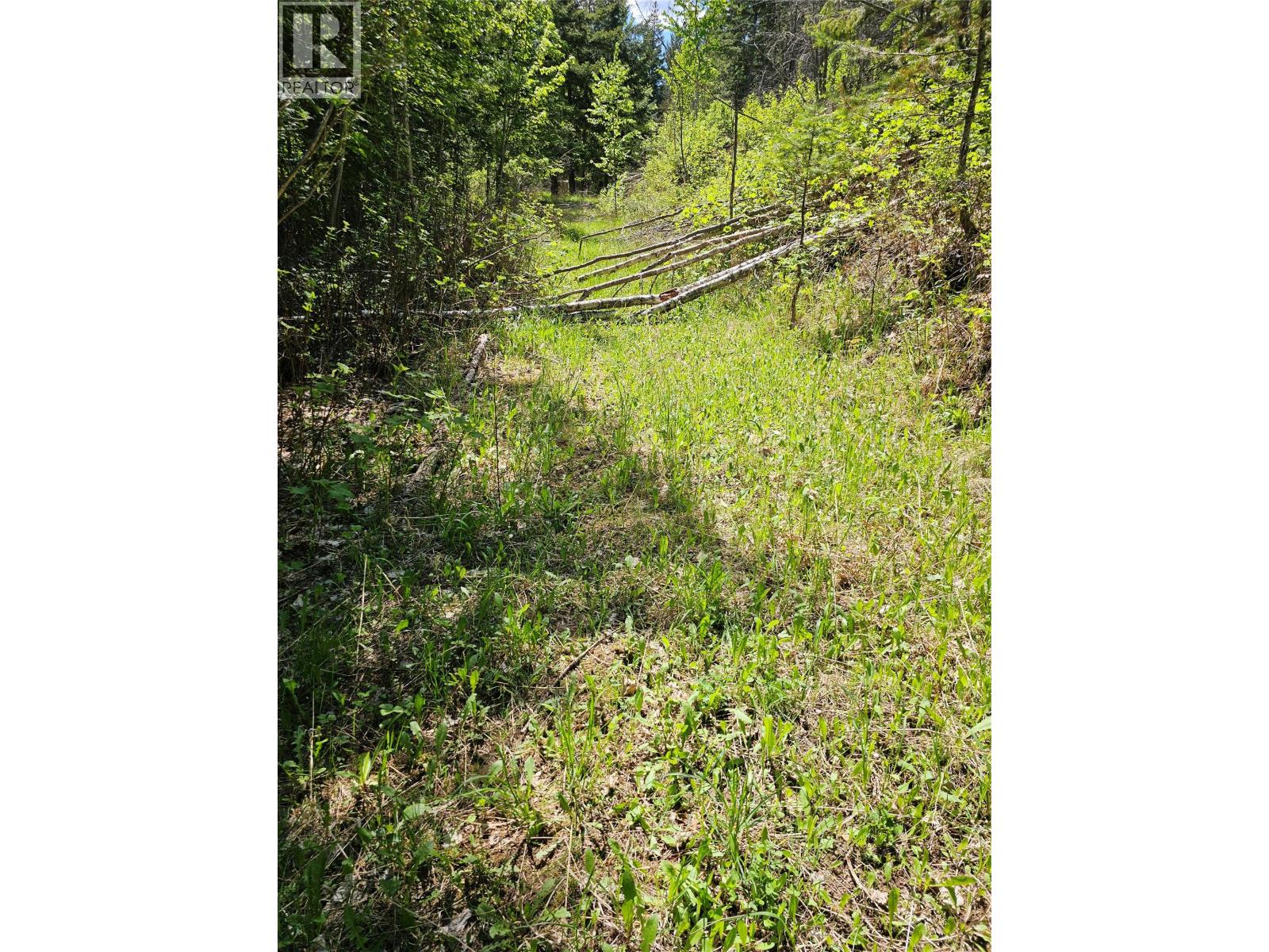 4402 Leopold Road, Scotch Creek, British Columbia  V0E 1M5 - Photo 28 - 10387585