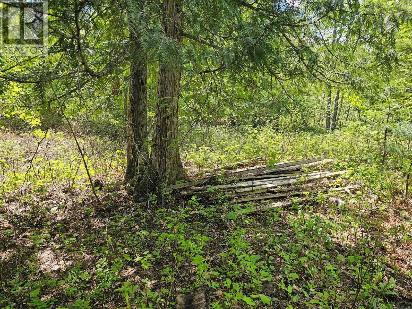 4402 Leopold Road, Scotch Creek, British Columbia  V0E 1M5 - Photo 35 - 10387585