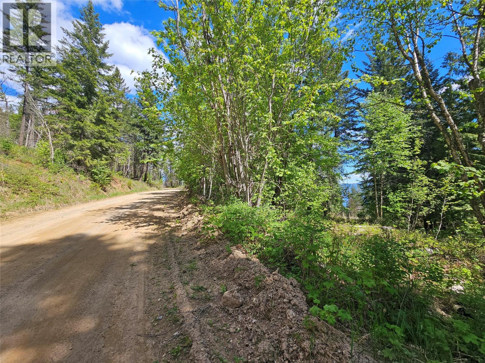 4402 Leopold Road, Scotch Creek, British Columbia  V0E 1M5 - Photo 37 - 10387585