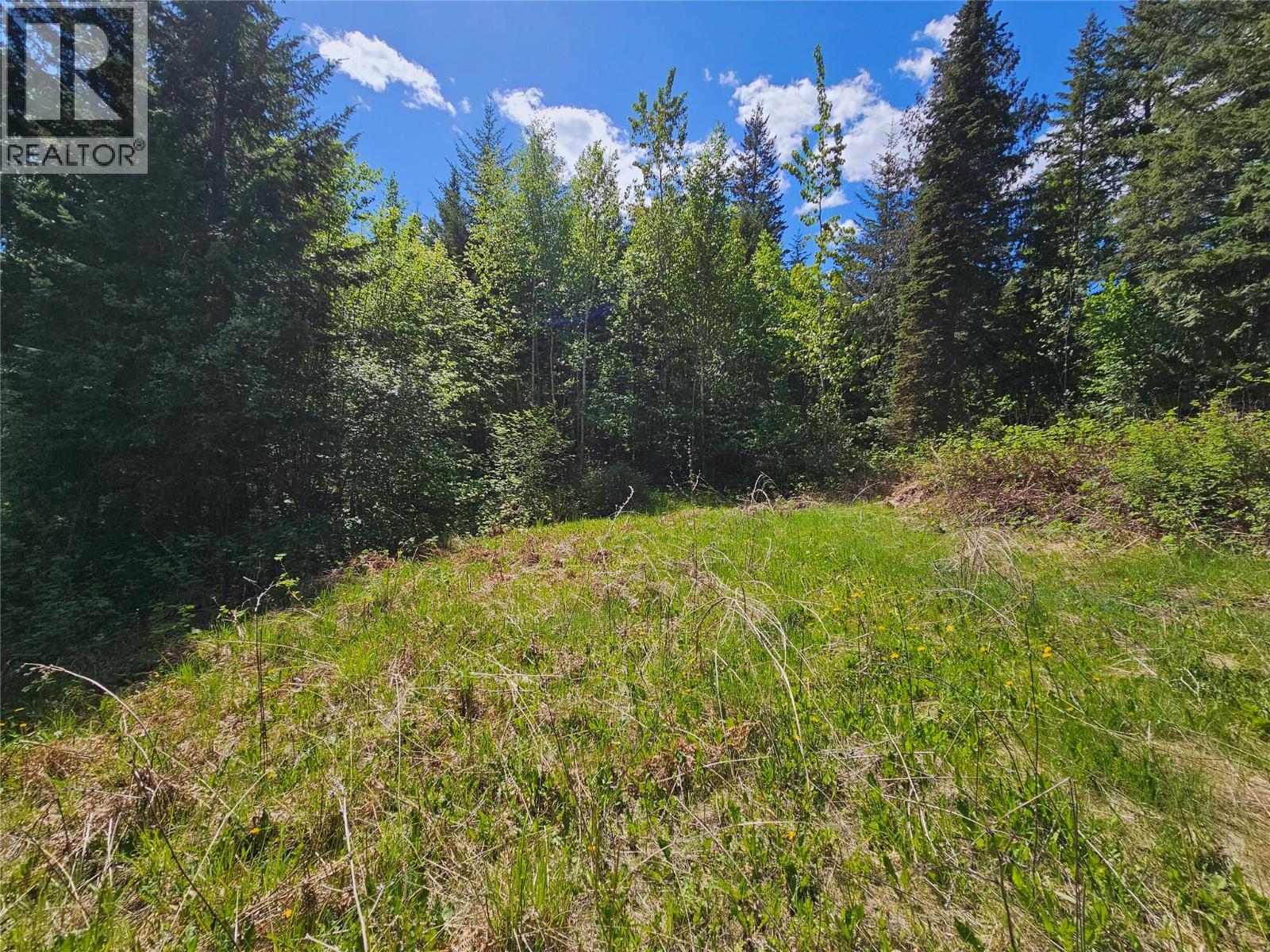 4402 Leopold Road, Scotch Creek, British Columbia  V0E 1M5 - Photo 6 - 10387585