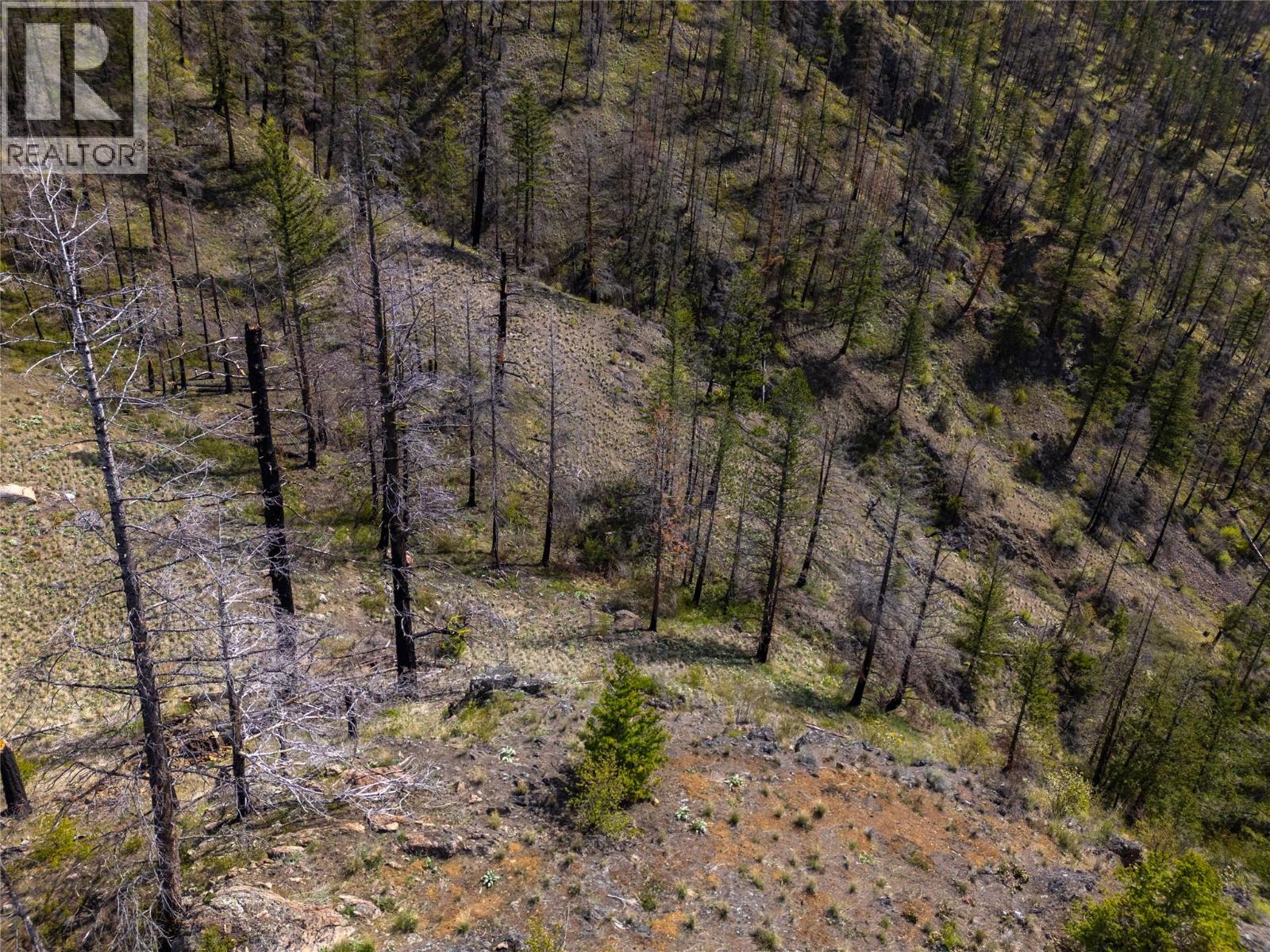 2603 Green Mountain Road, Keremeos, British Columbia  V0X 1N6 - Photo 35 - 10382607