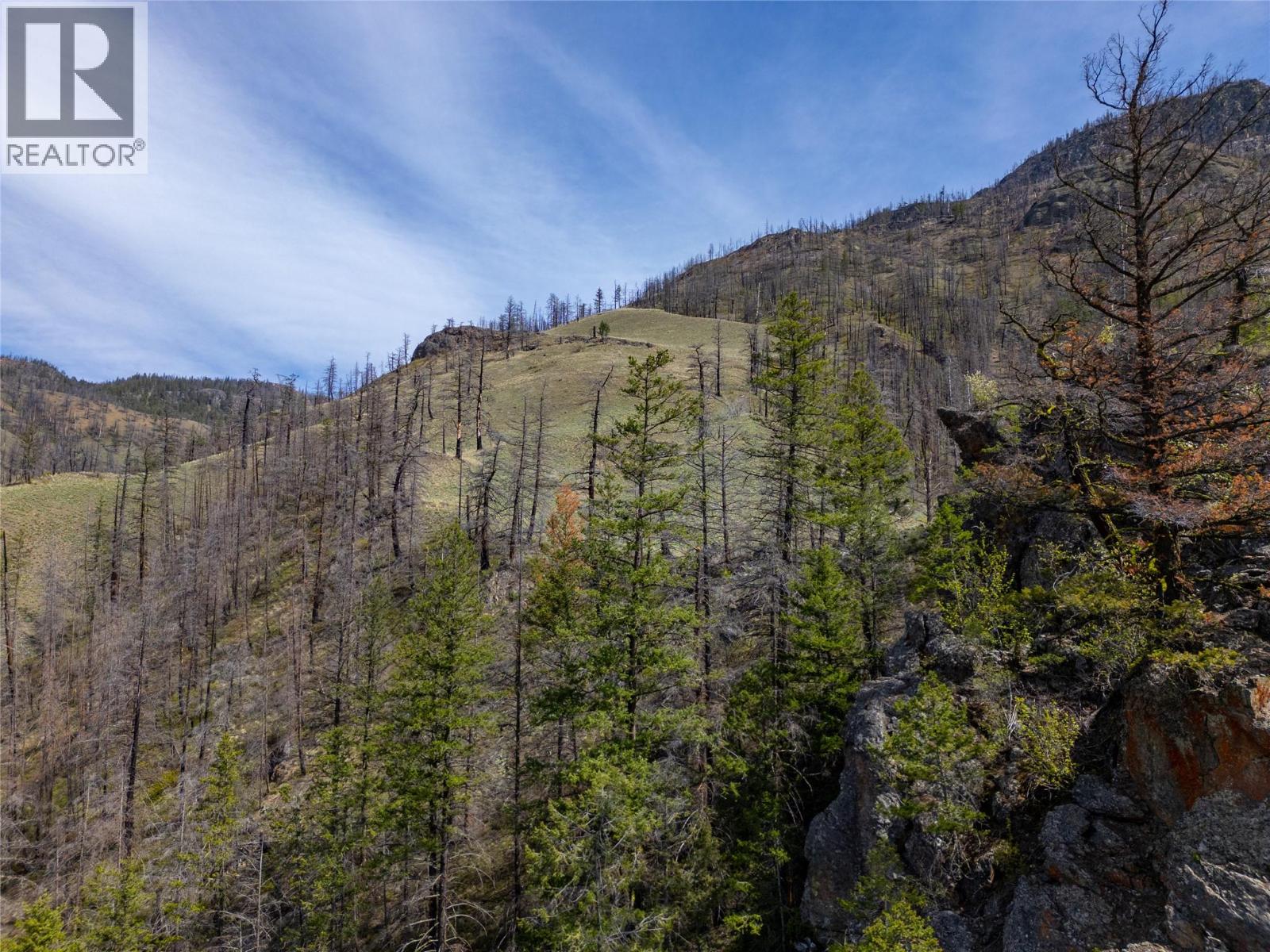 2603 Green Mountain Road, Keremeos, British Columbia  V0X 1N6 - Photo 39 - 10382607