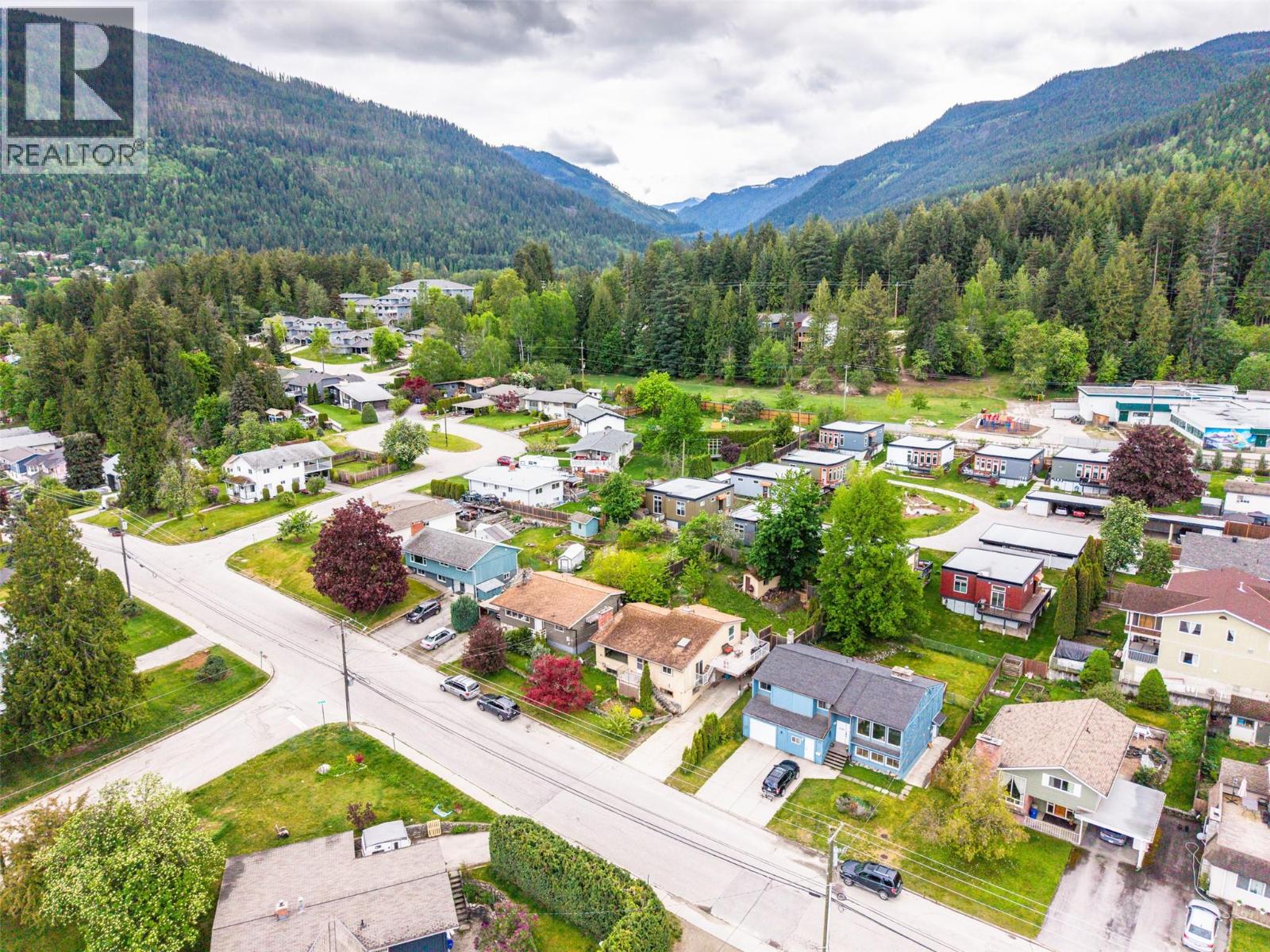 703 West Innes Street, Nelson, British Columbia  V1L 3J4 - Photo 3 - 10387679