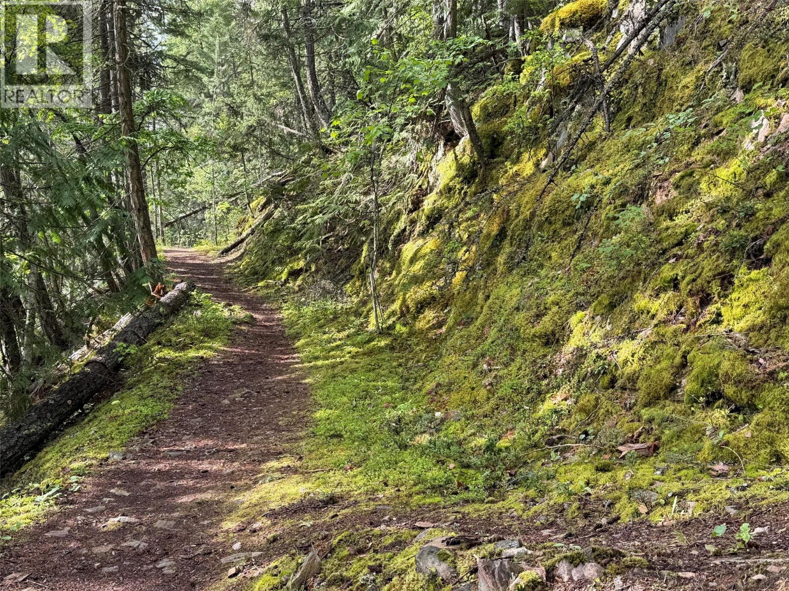 4926 Fletcher Creek Road, Kaslo, British Columbia  V0G 1M0 - Photo 69 - 10385835