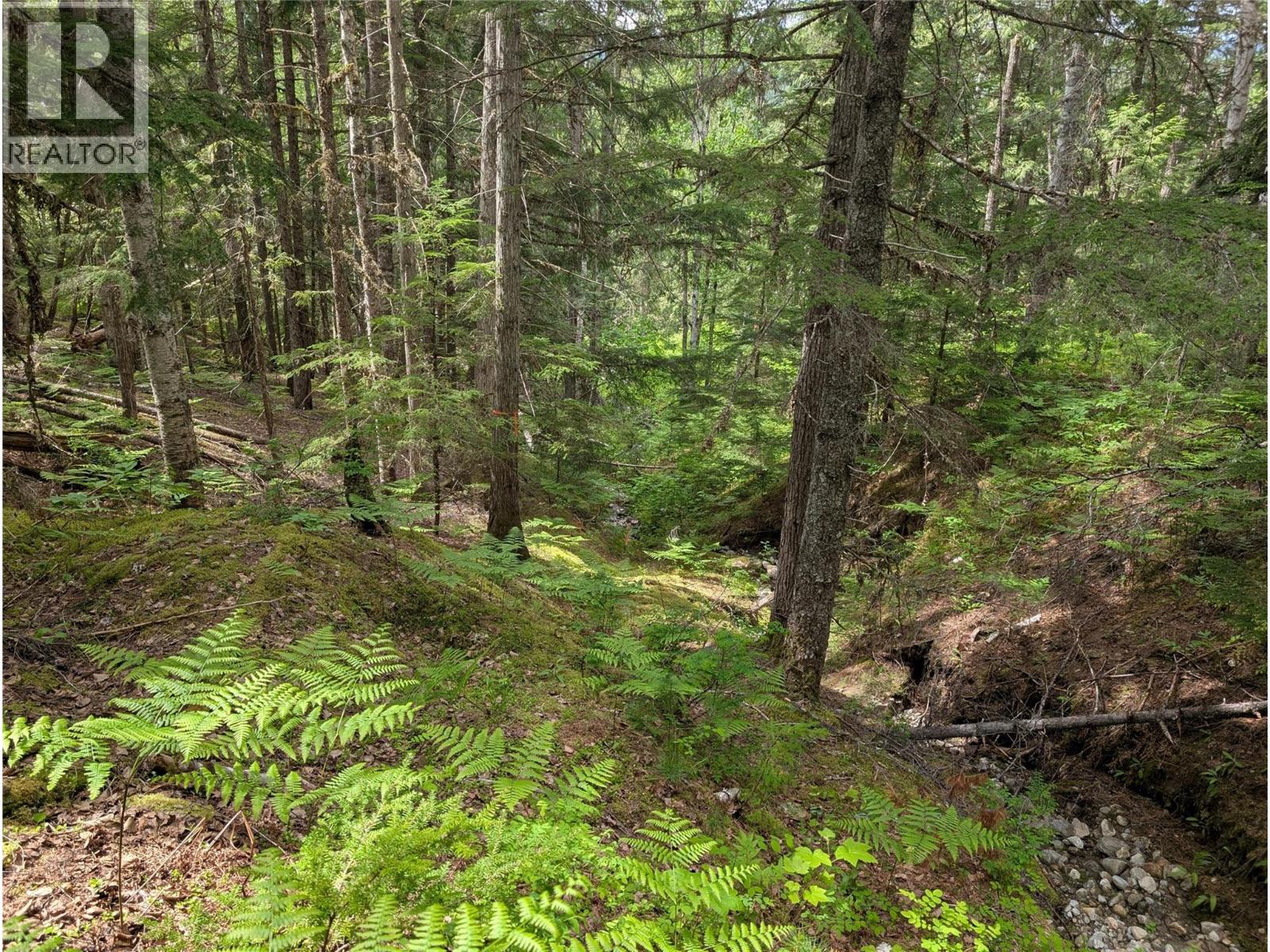 1363 Bourne Crescent, Seymour Arm, British Columbia  V0E 2V2 - Photo 32 - 10387817