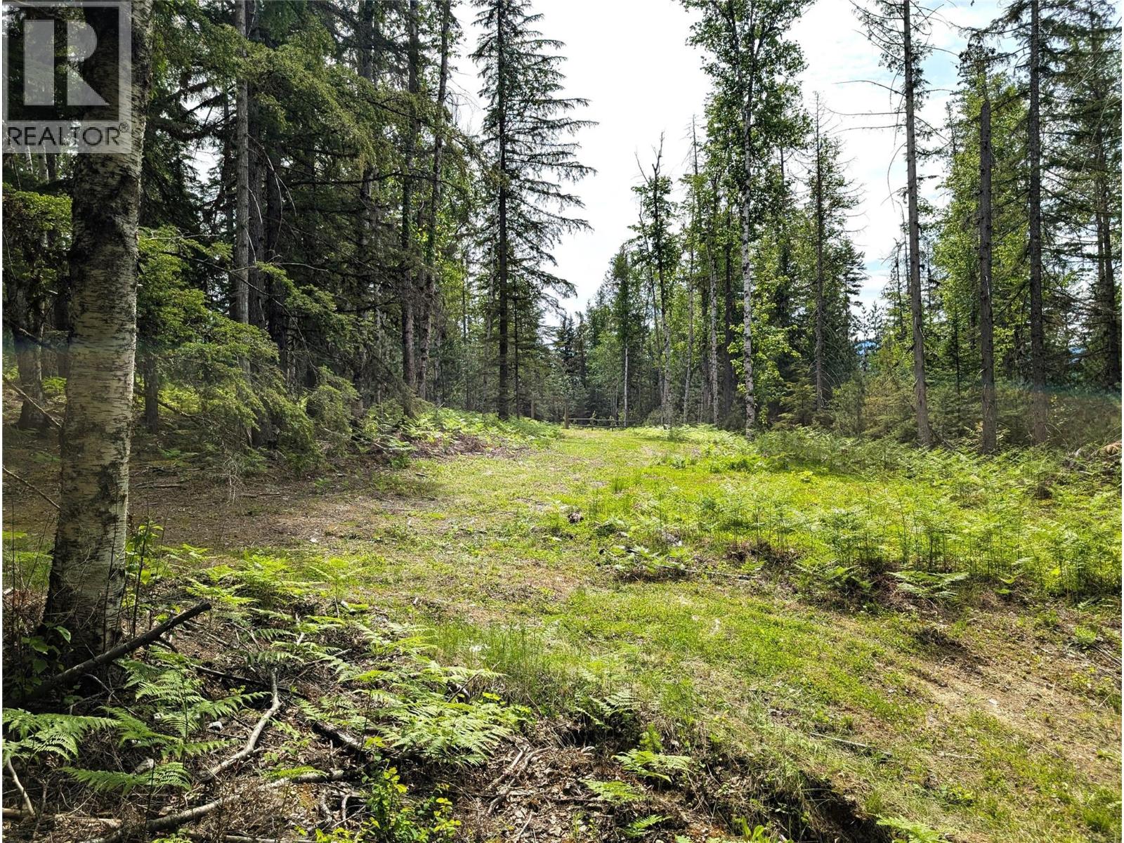 1363 Bourne Crescent, Seymour Arm, British Columbia  V0E 2V2 - Photo 34 - 10387817