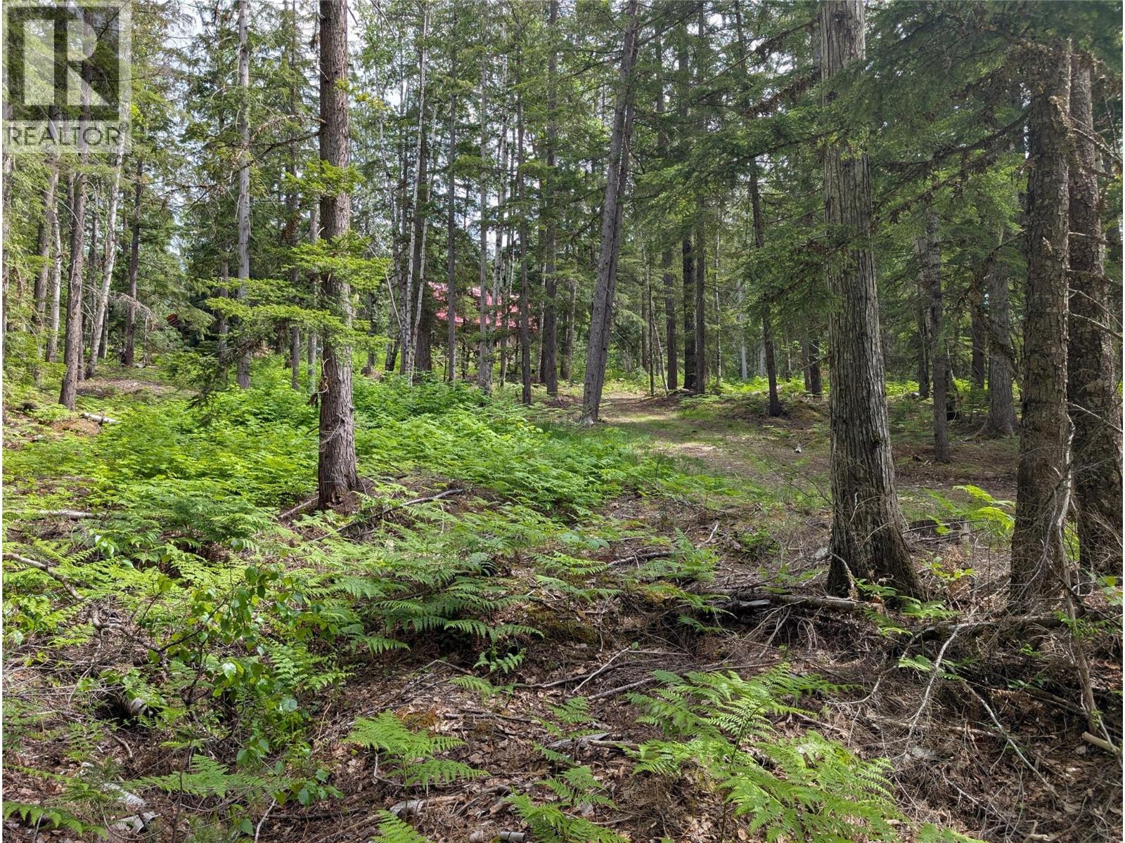 1363 Bourne Crescent, Seymour Arm, British Columbia  V0E 2V2 - Photo 35 - 10387817