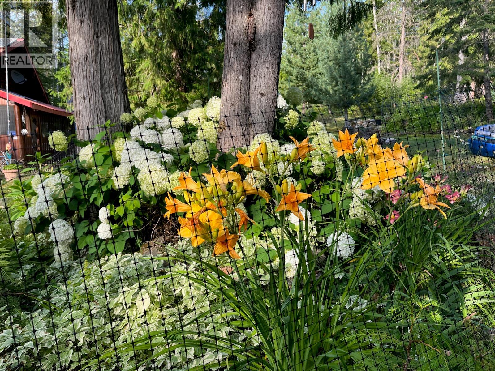 1363 Bourne Crescent, Seymour Arm, British Columbia  V0E 2V2 - Photo 53 - 10387817