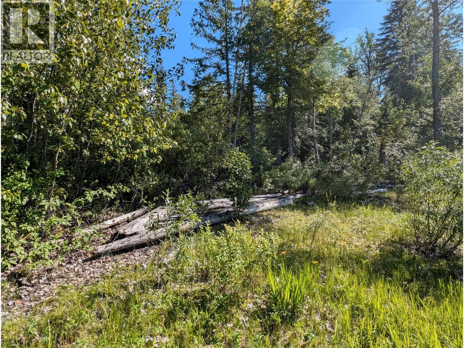 730 Bradley Road Lot# 21, Seymour Arm, British Columbia  V0E 2V2 - Photo 3 - 10387821