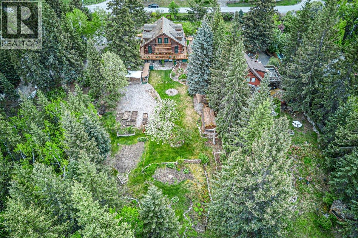 4985 Ogilvey Avenue, Fairmont Hot Springs, British Columbia  V0B 1L1 - Photo 3 - 10387337