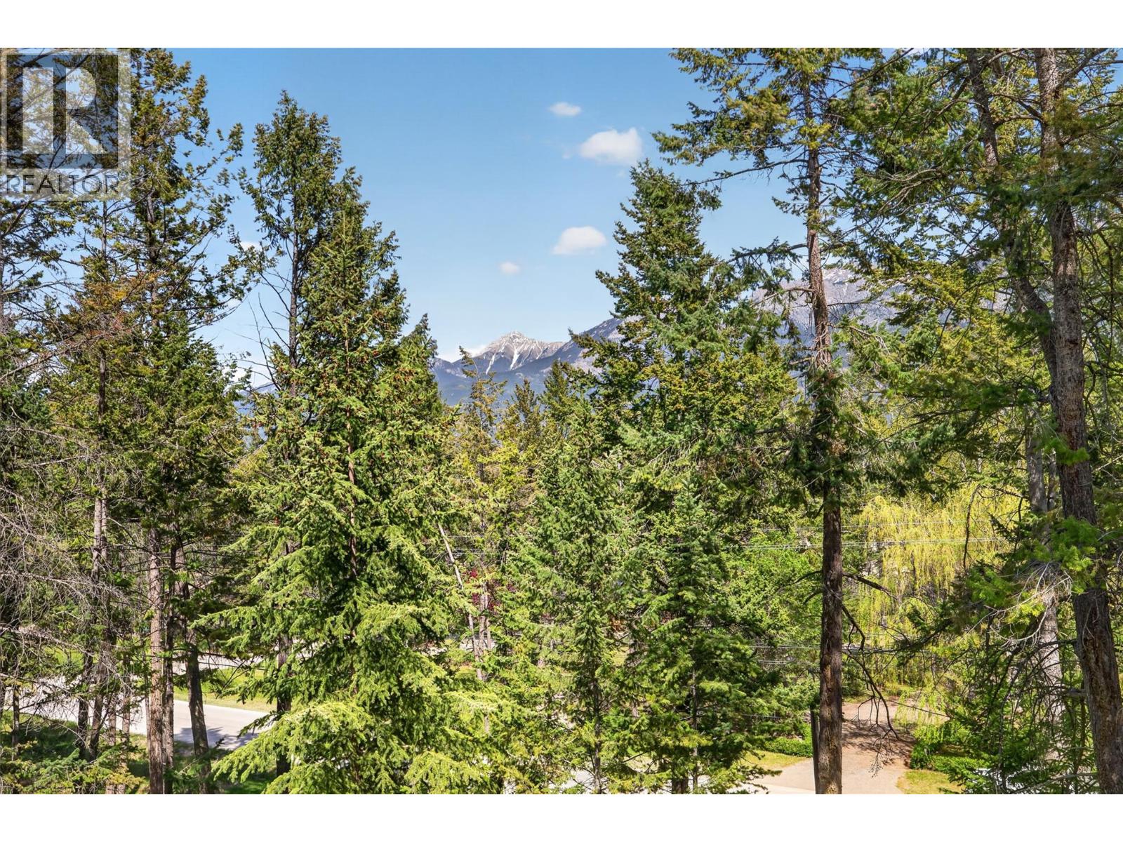 6035 Columbia Lake Road, Fairmont Hot Springs, British Columbia  V0B 1L1 - Photo 29 - 10387851