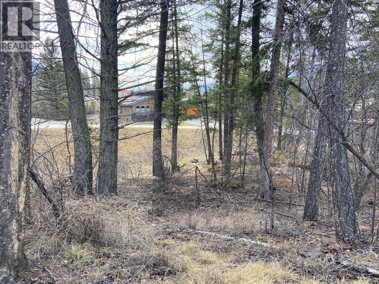 Lot 22 Eaglebrook Court, Fairmont Hot Springs, British Columbia  V0B 1L0 - Photo 10 - 10387882