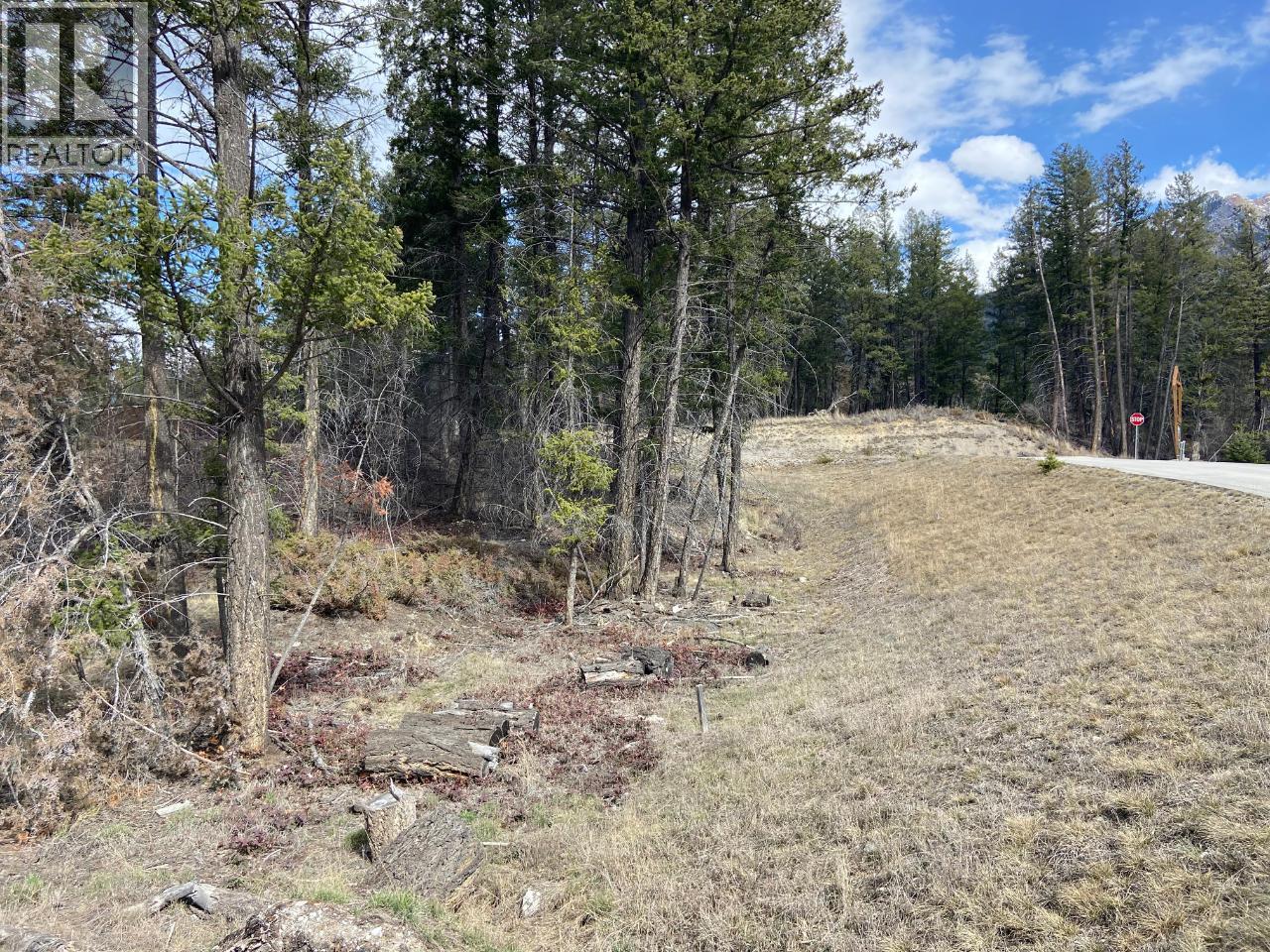 Lot 22 Eaglebrook Court, Fairmont Hot Springs, British Columbia  V0B 1L0 - Photo 11 - 10387882