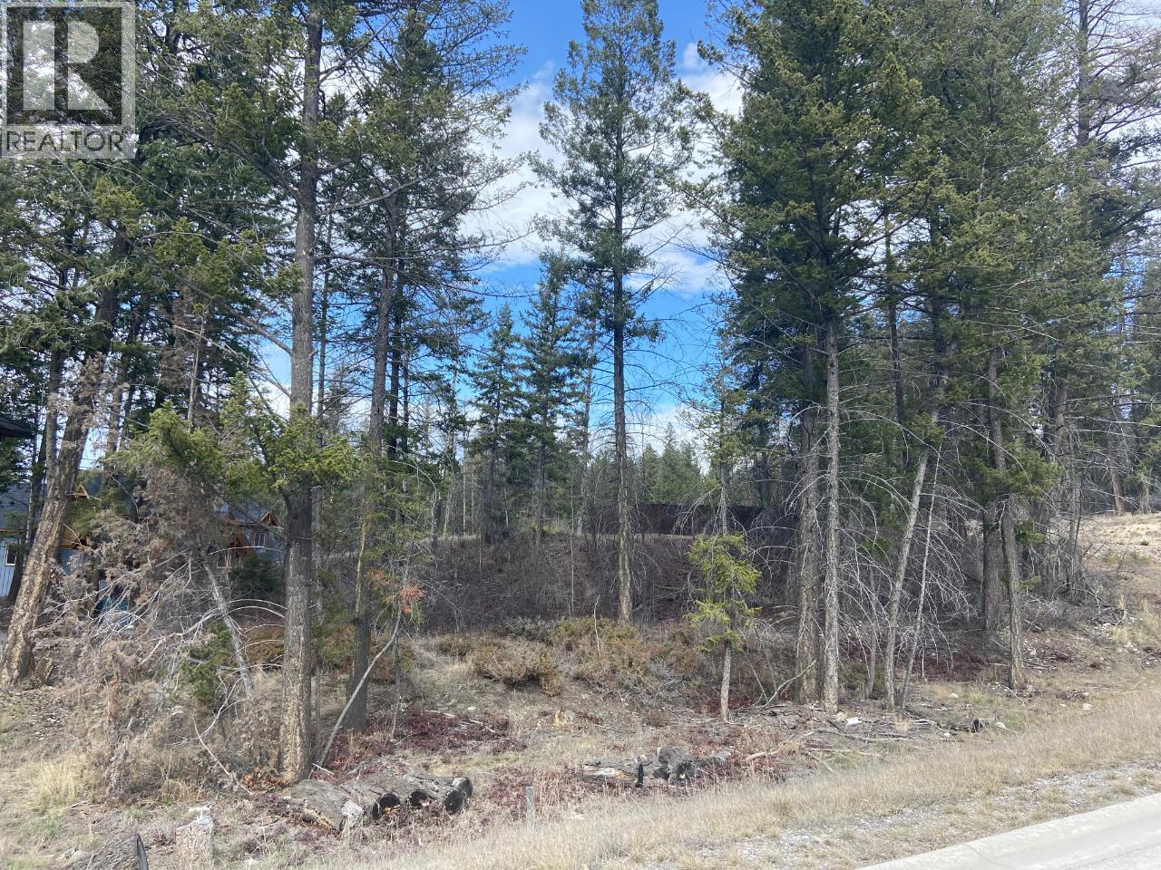 Lot 22 Eaglebrook Court, Fairmont Hot Springs, British Columbia  V0B 1L0 - Photo 3 - 10387882