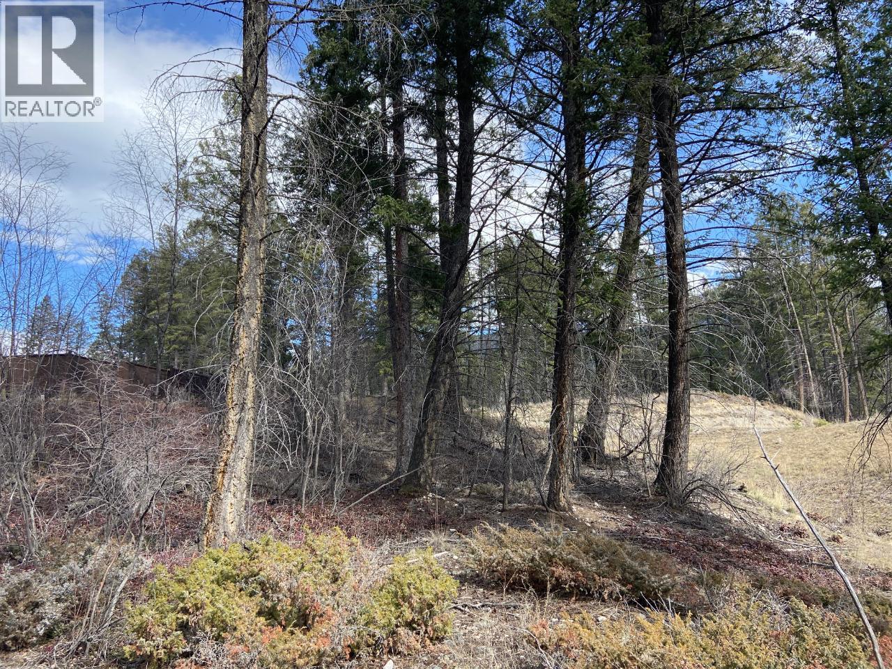 Lot 22 Eaglebrook Court, Fairmont Hot Springs, British Columbia  V0B 1L0 - Photo 6 - 10387882