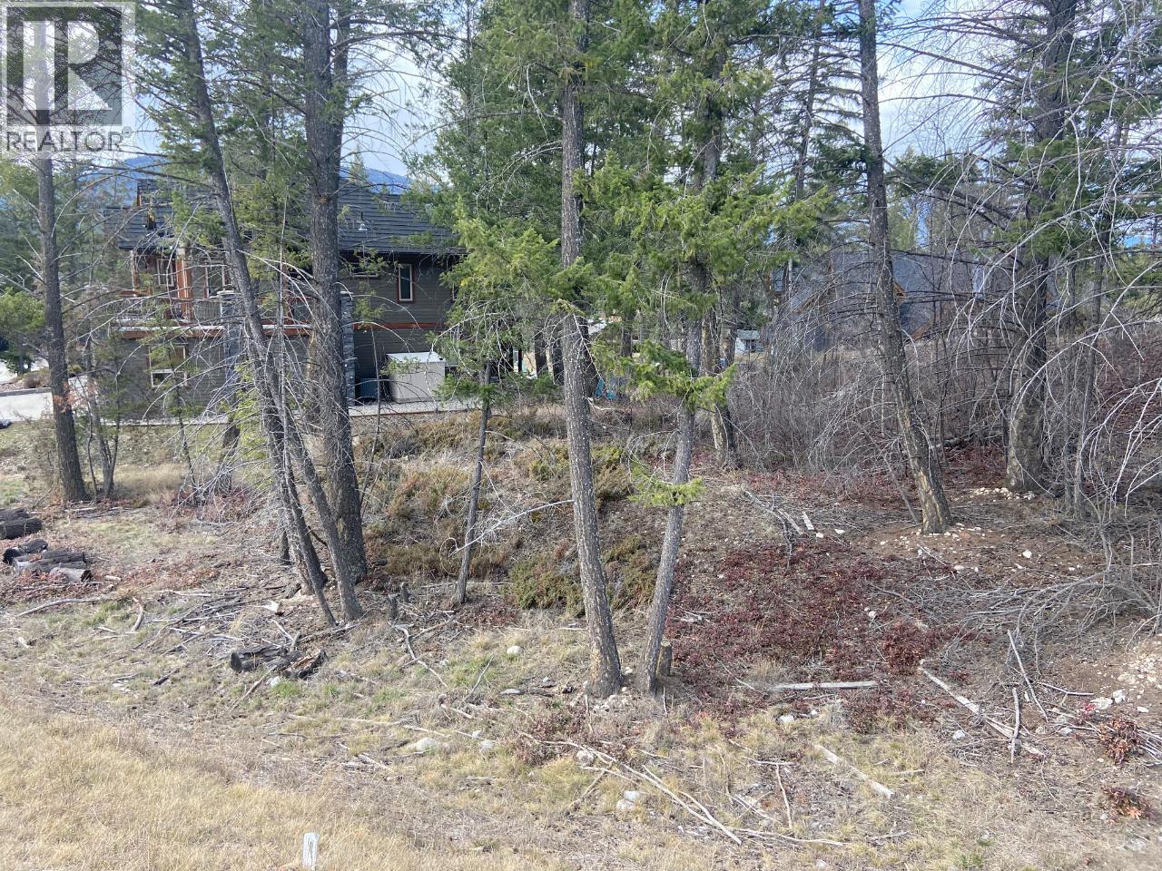 Lot 22 Eaglebrook Court, Fairmont Hot Springs, British Columbia  V0B 1L0 - Photo 9 - 10387882