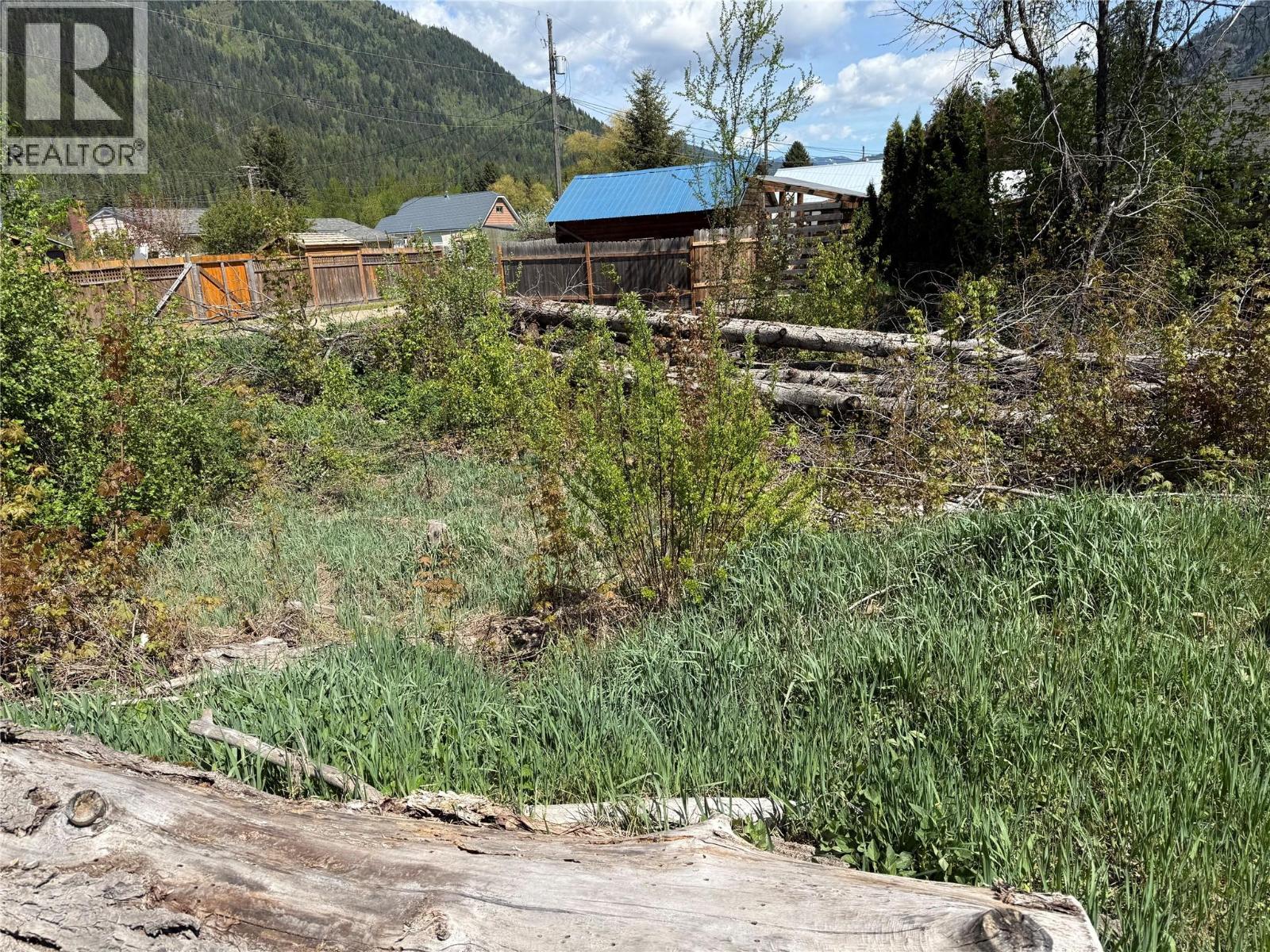 Lot B Sayward Avenue, Salmo, British Columbia  V0G 1Z0 - Photo 6 - 10387885