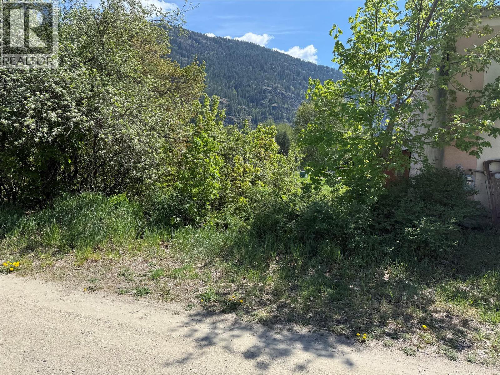 Lot B Sayward Avenue, Salmo, British Columbia  V0G 1Z0 - Photo 7 - 10387885