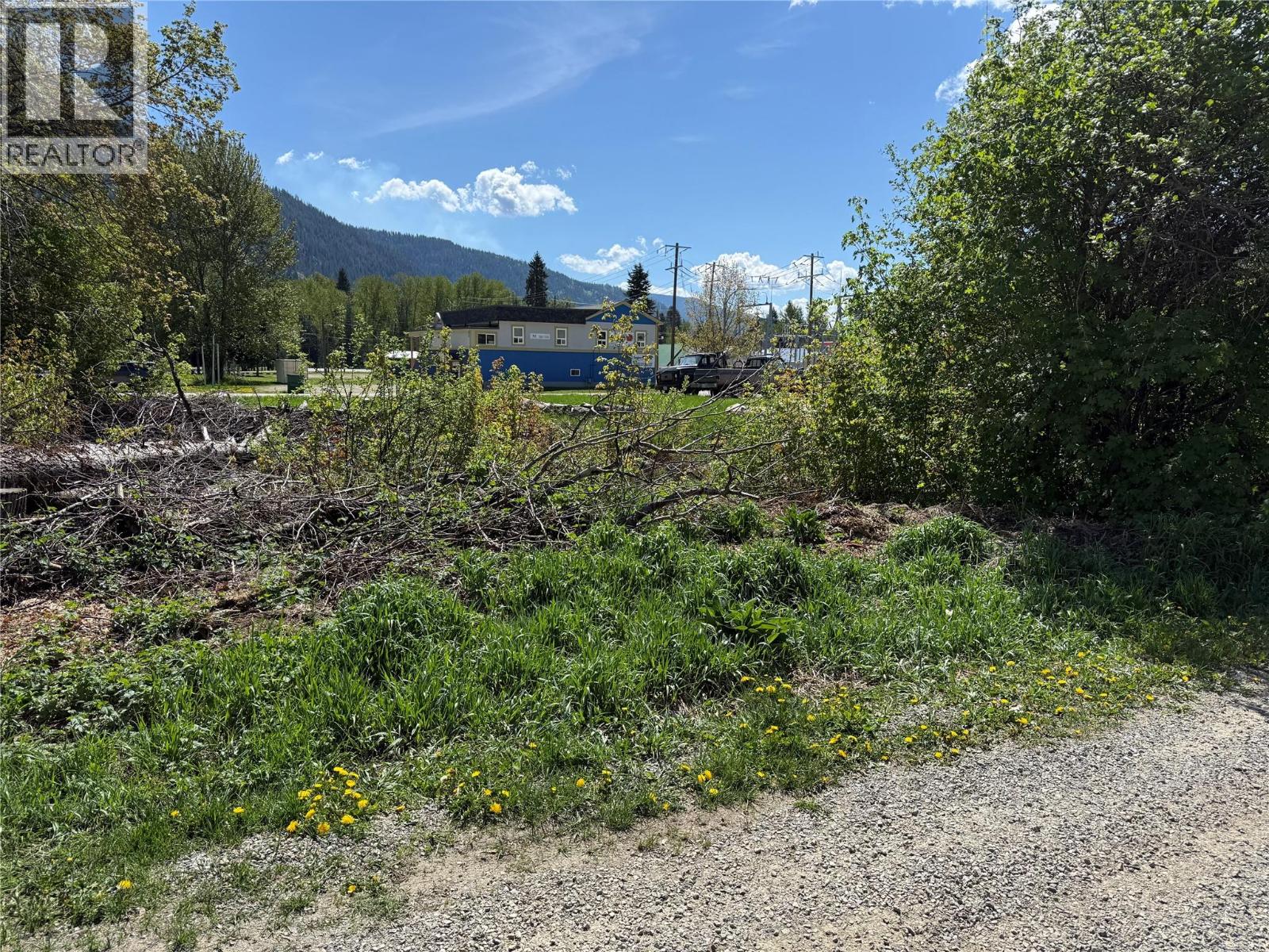 Lot B Sayward Avenue, Salmo, British Columbia  V0G 1Z0 - Photo 8 - 10387885