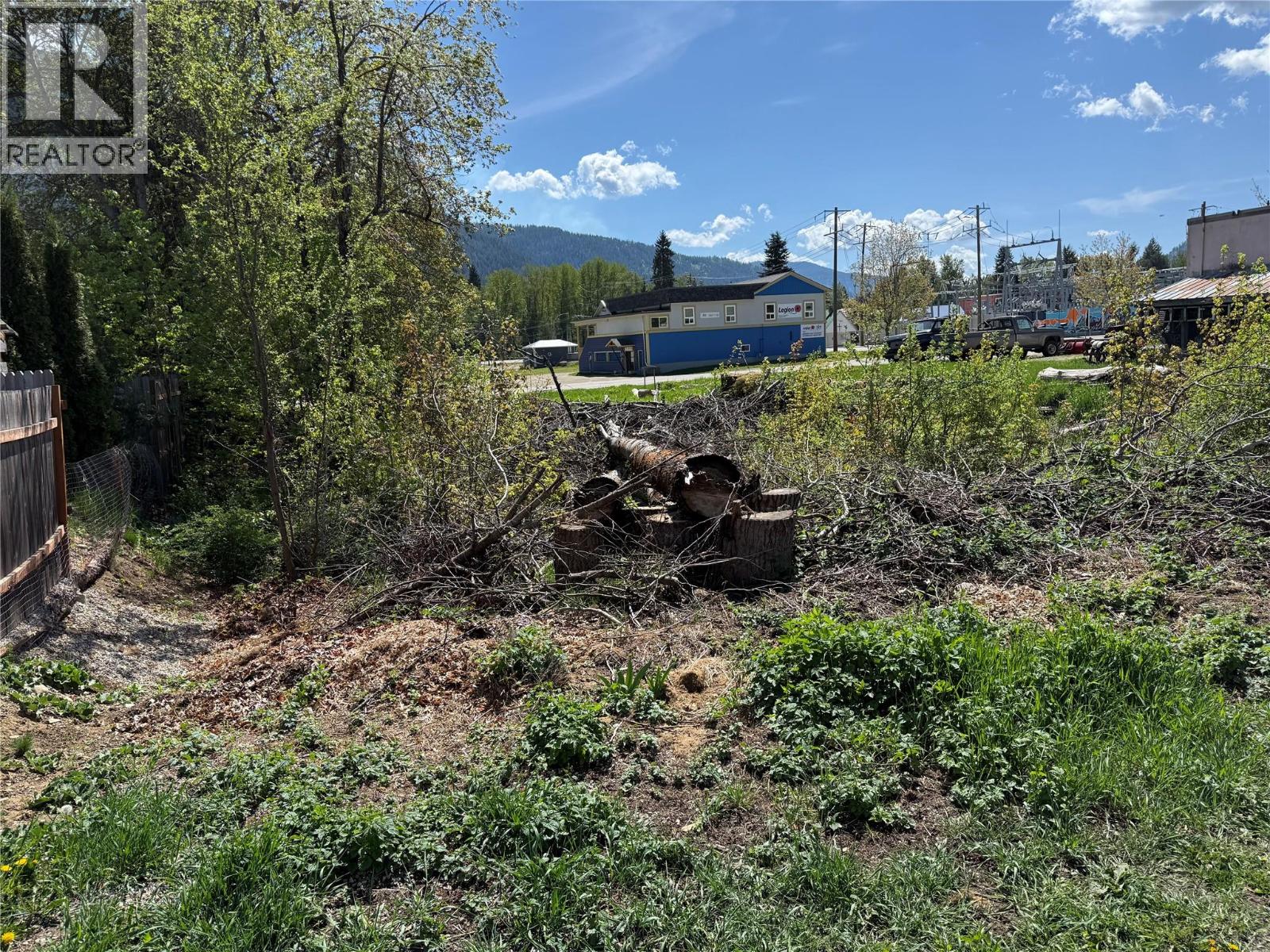 Lot A Sayward Avenue, Salmo, British Columbia  V0G 1Z0 - Photo 10 - 10387881