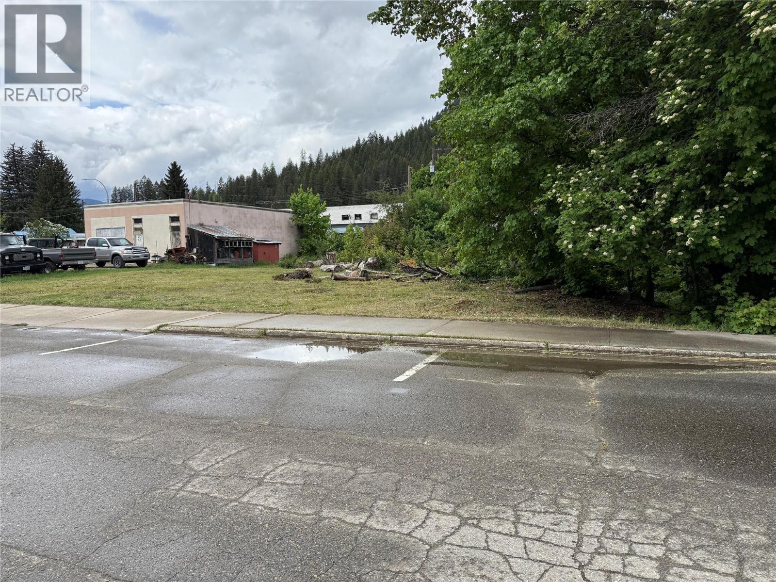 Lot A Sayward Avenue, Salmo, British Columbia  V0G 1Z0 - Photo 13 - 10387881