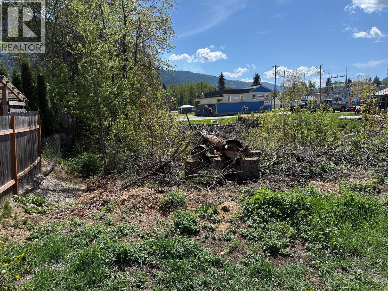 Lot A Sayward Avenue, Salmo, British Columbia  V0G 1Z0 - Photo 9 - 10387881