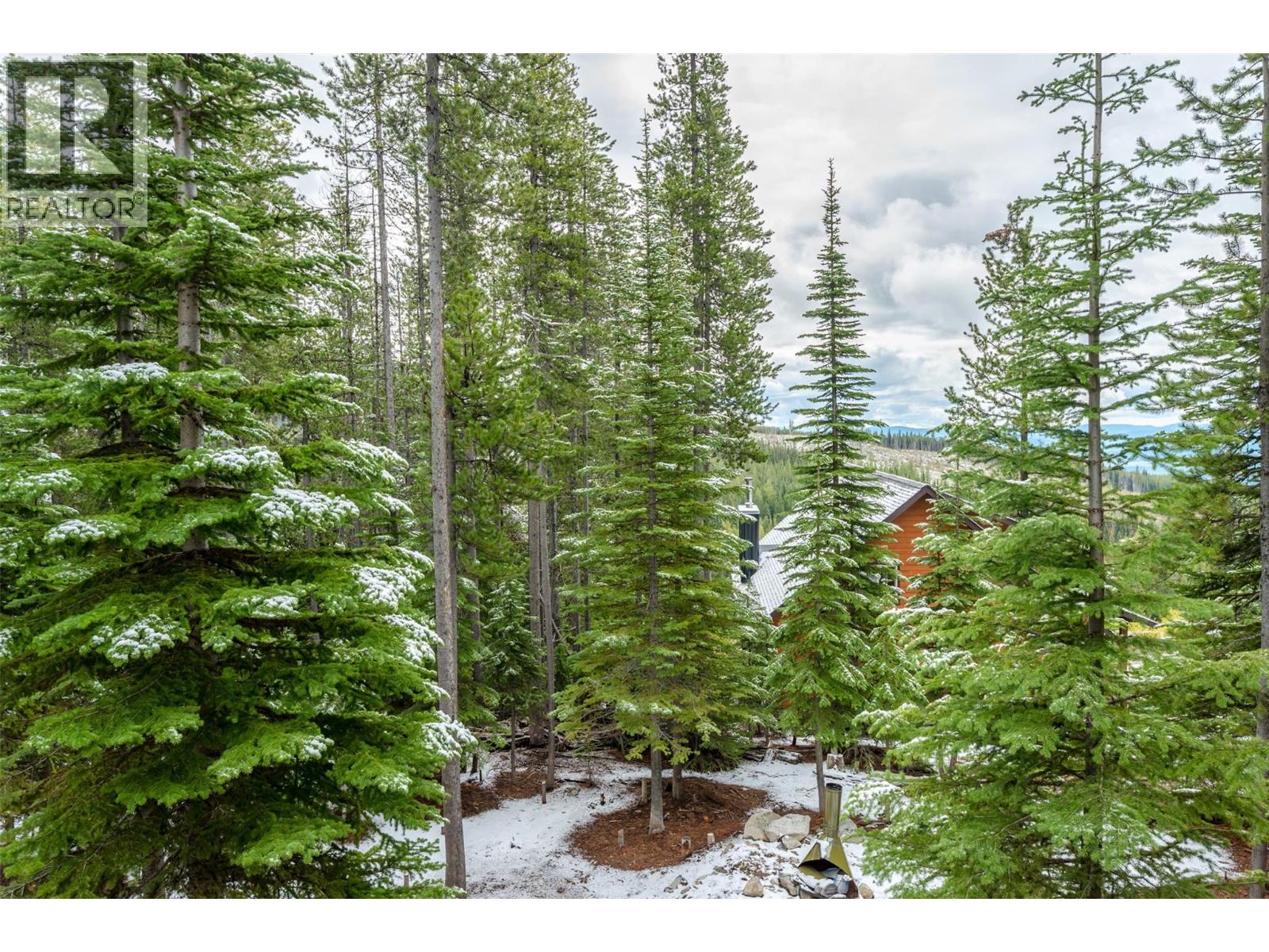 270 Cougar Road, Oliver, British Columbia  V0H 1T8 - Photo 29 - 10387832