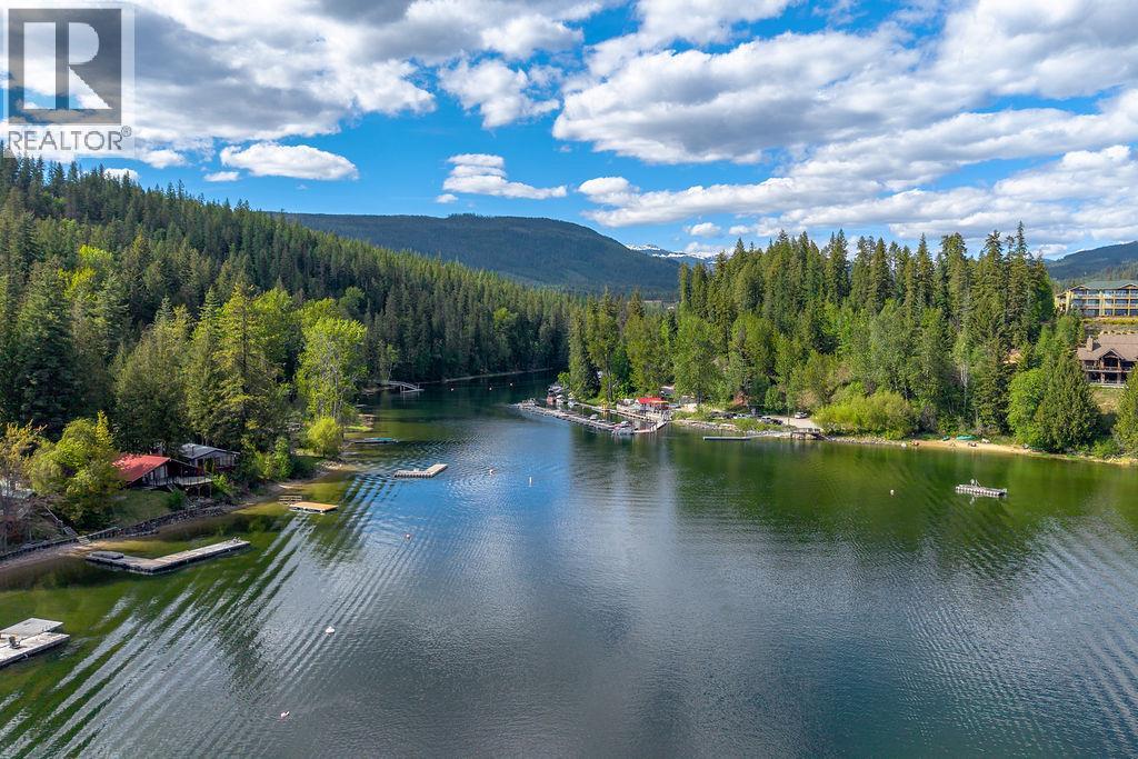 142 Mabel Lake Subdivision Road, Enderby, British Columbia  V4Y 5N5 - Photo 10 - 10387940