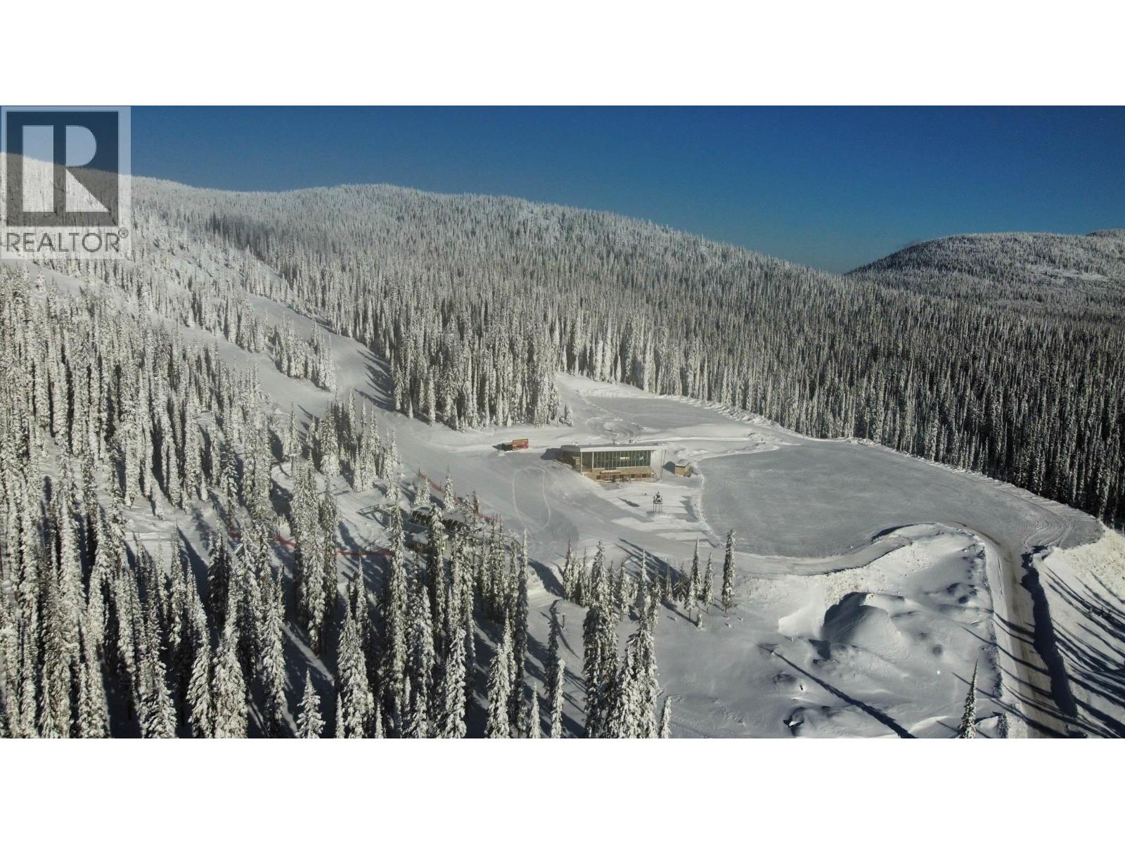 4259 Black Forest Road, Big White, British Columbia  V1P 1P3 - Photo 13 - 10387745