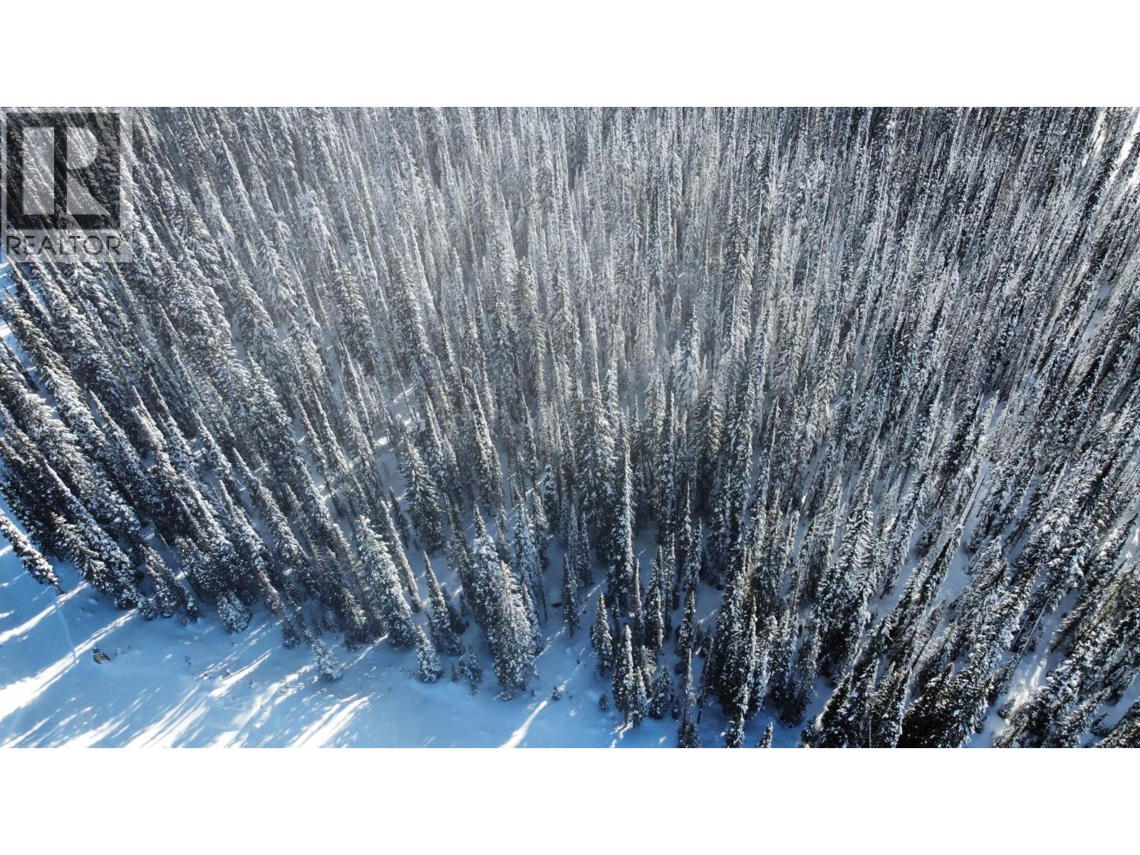 4259 Black Forest Road, Big White, British Columbia  V1P 1P3 - Photo 14 - 10387745