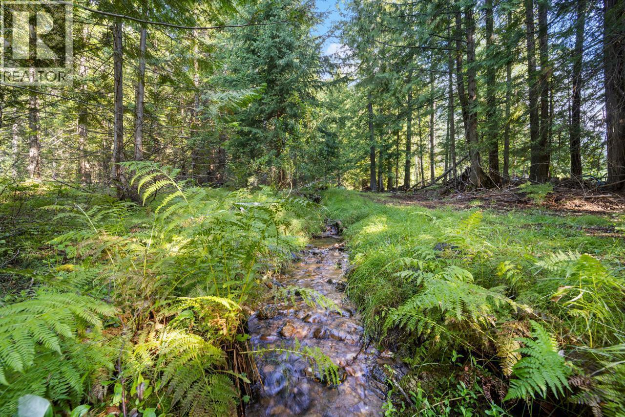 16465 Wadds Road, Crawford Bay, British Columbia  V0B 1E0 - Photo 4 - 10388040