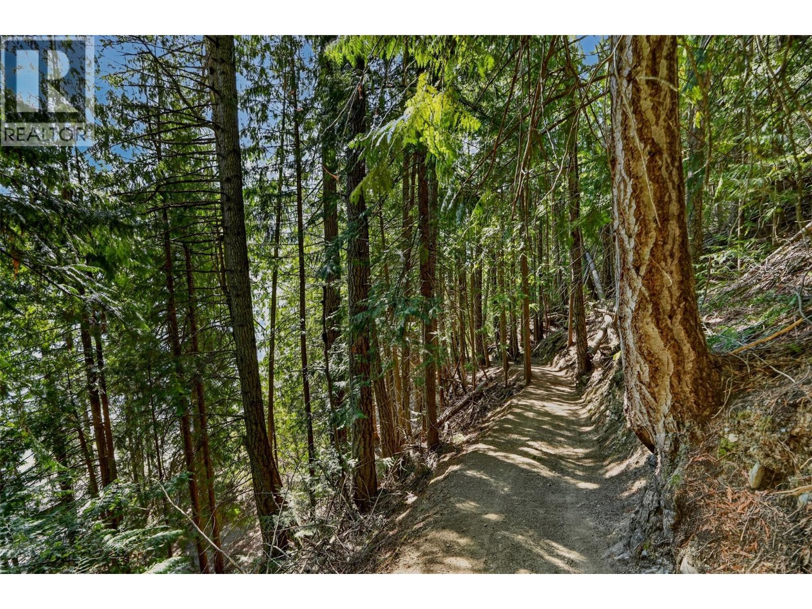 23 Birchgrove Bend, Kaslo, British Columbia  V0G 1M0 - Photo 55 - 10387580