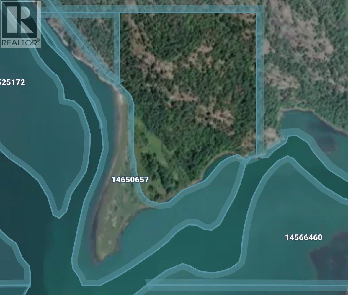 No Address, Revelstoke, British Columbia  V0E 2S3 - Photo 13 - 10387893