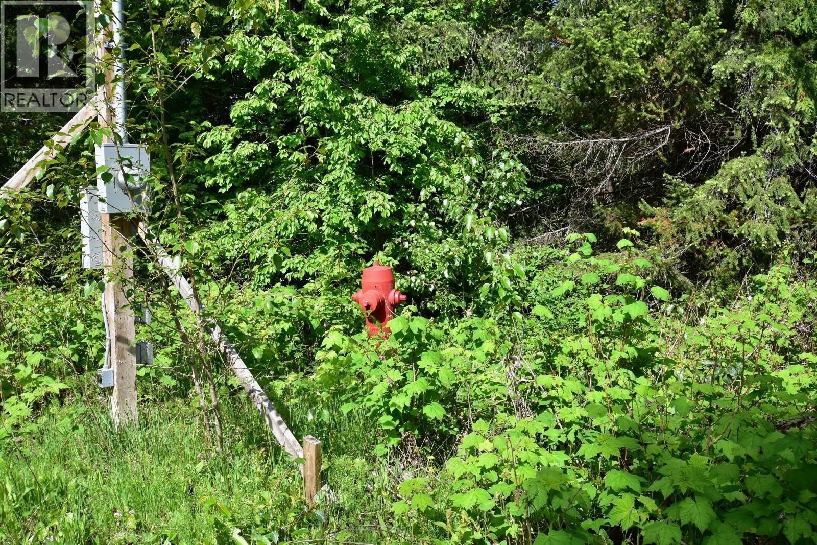 Ridge Road Lot# Lot C, Eagle Bay, British Columbia  V0E 1T0 - Photo 10 - 10388095