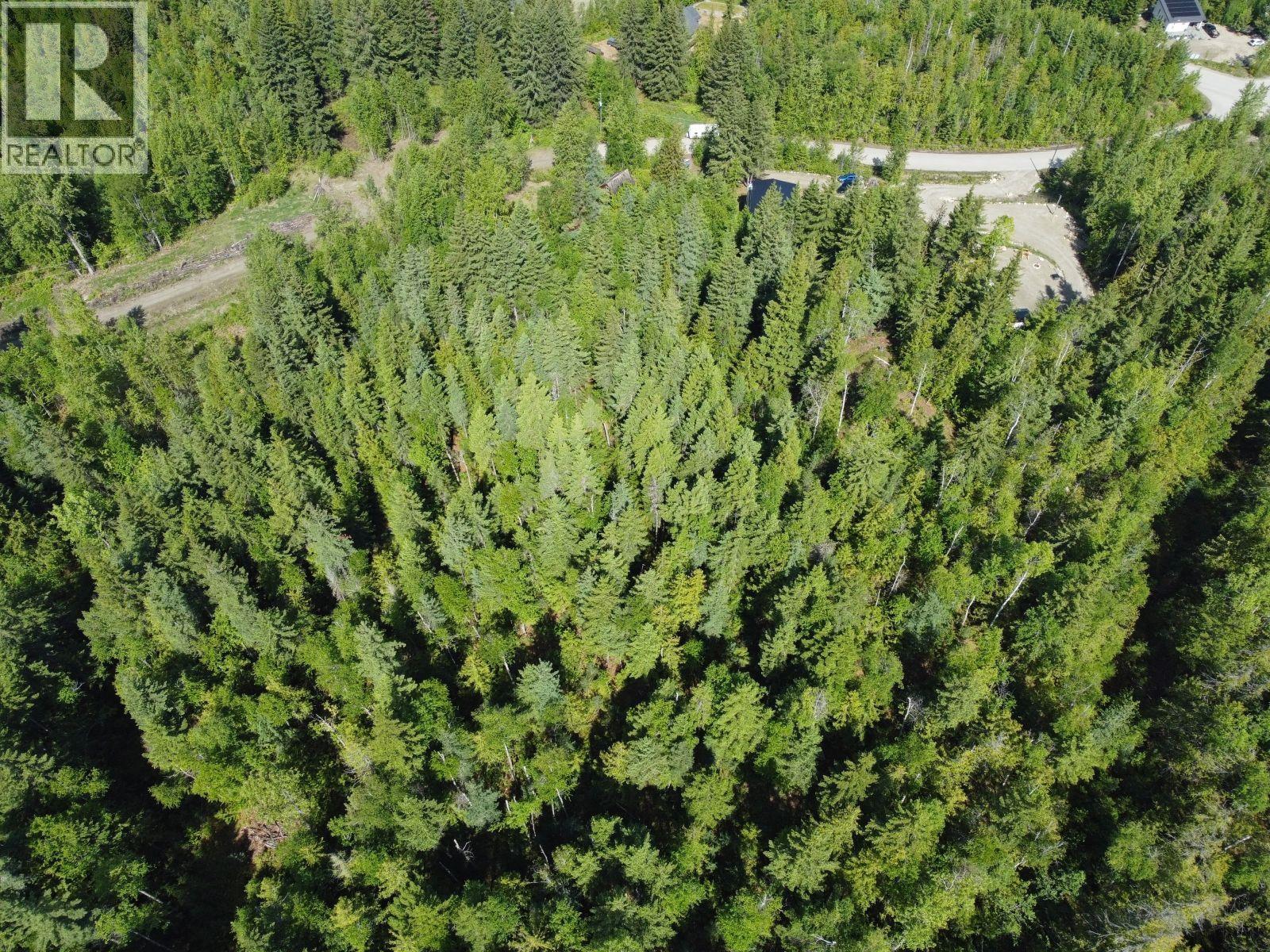 Ridge Road Lot# Lot C, Eagle Bay, British Columbia  V0E 1T0 - Photo 17 - 10388095