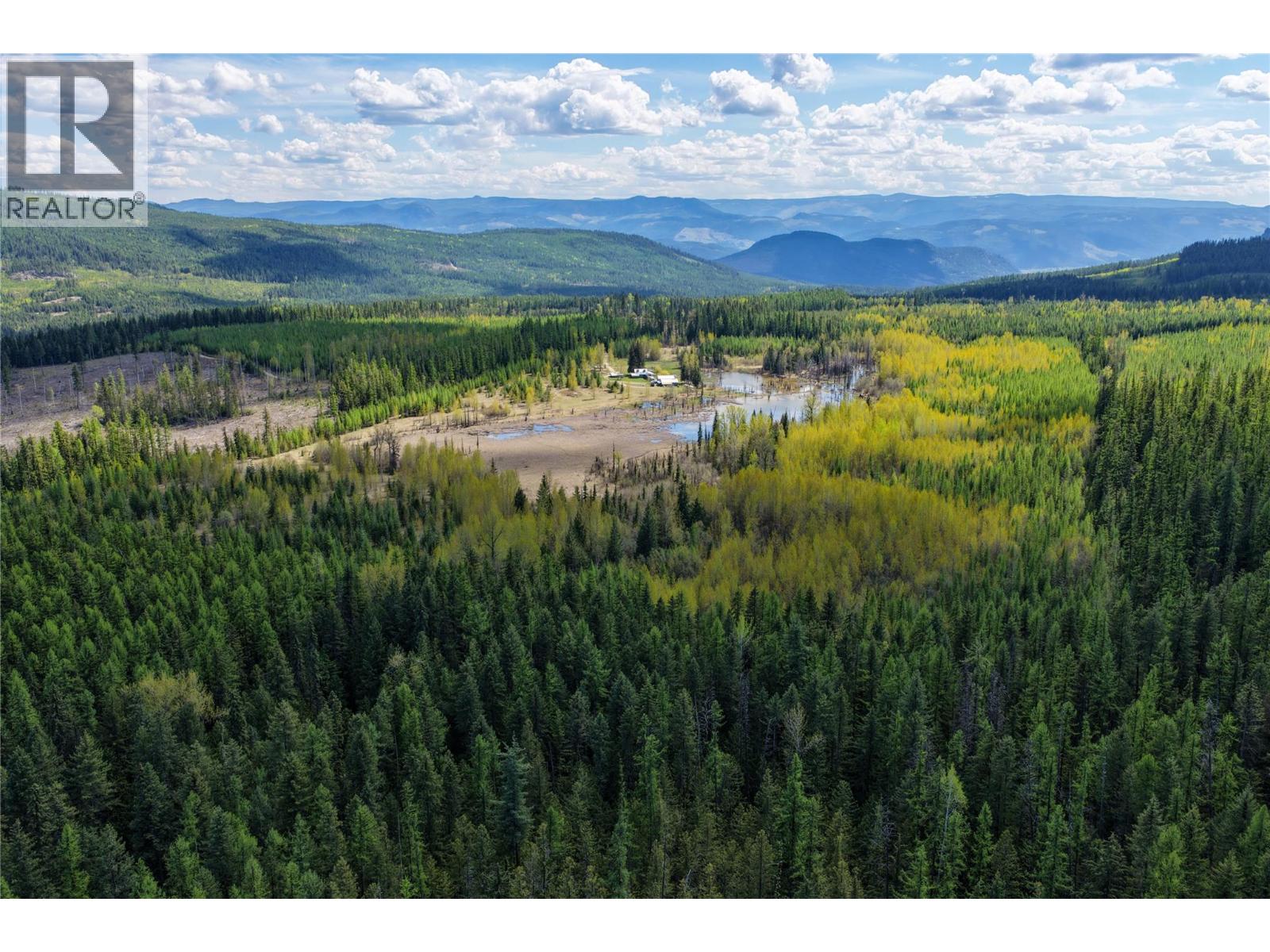 650 Trinity Valley Road, Lumby, British Columbia  V0E 2G4 - Photo 11 - 10388122