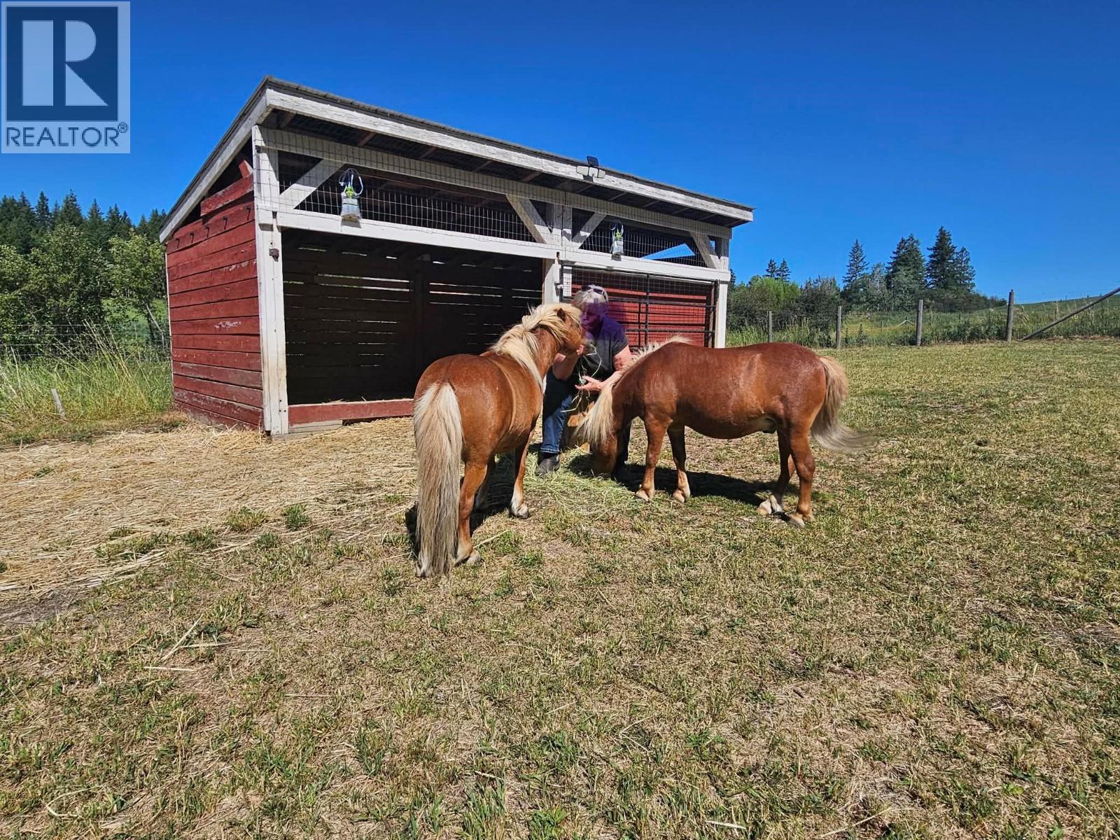 270 Brash-Allen Road, Enderby, British Columbia  V0E 1V4 - Photo 24 - 10387505