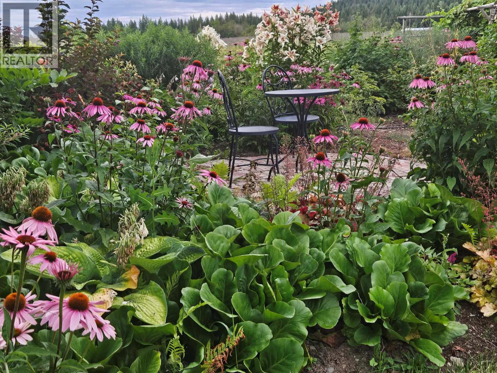 270 Brash-Allen Road, Enderby, British Columbia  V0E 1V4 - Photo 25 - 10387505