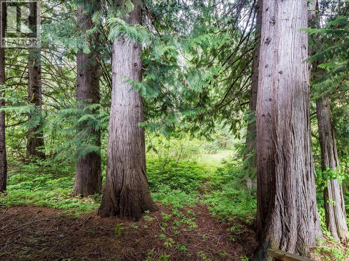 216 Porcupine Creek Road, Ymir, British Columbia  V0G 2K0 - Photo 45 - 10388117
