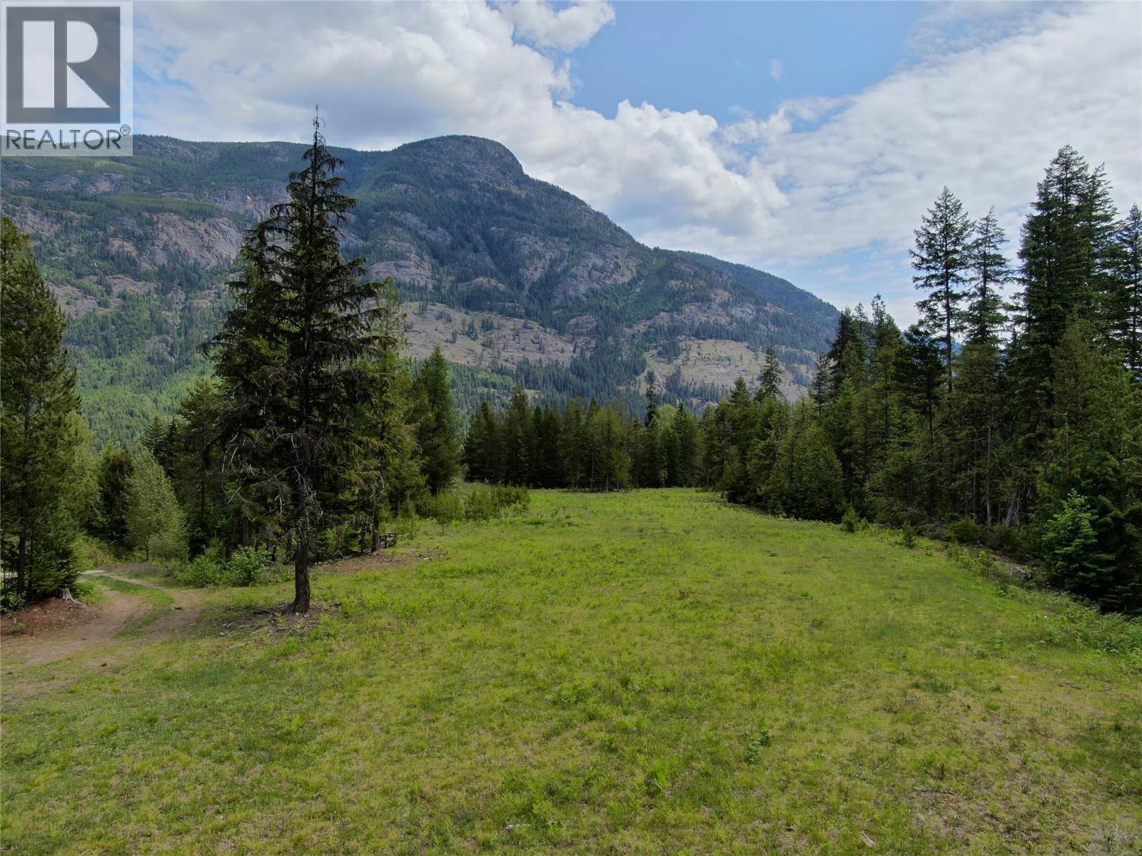 3809 Passmore Upper Road, Passmore, British Columbia  V1L 2J0 - Photo 10 - 10388519